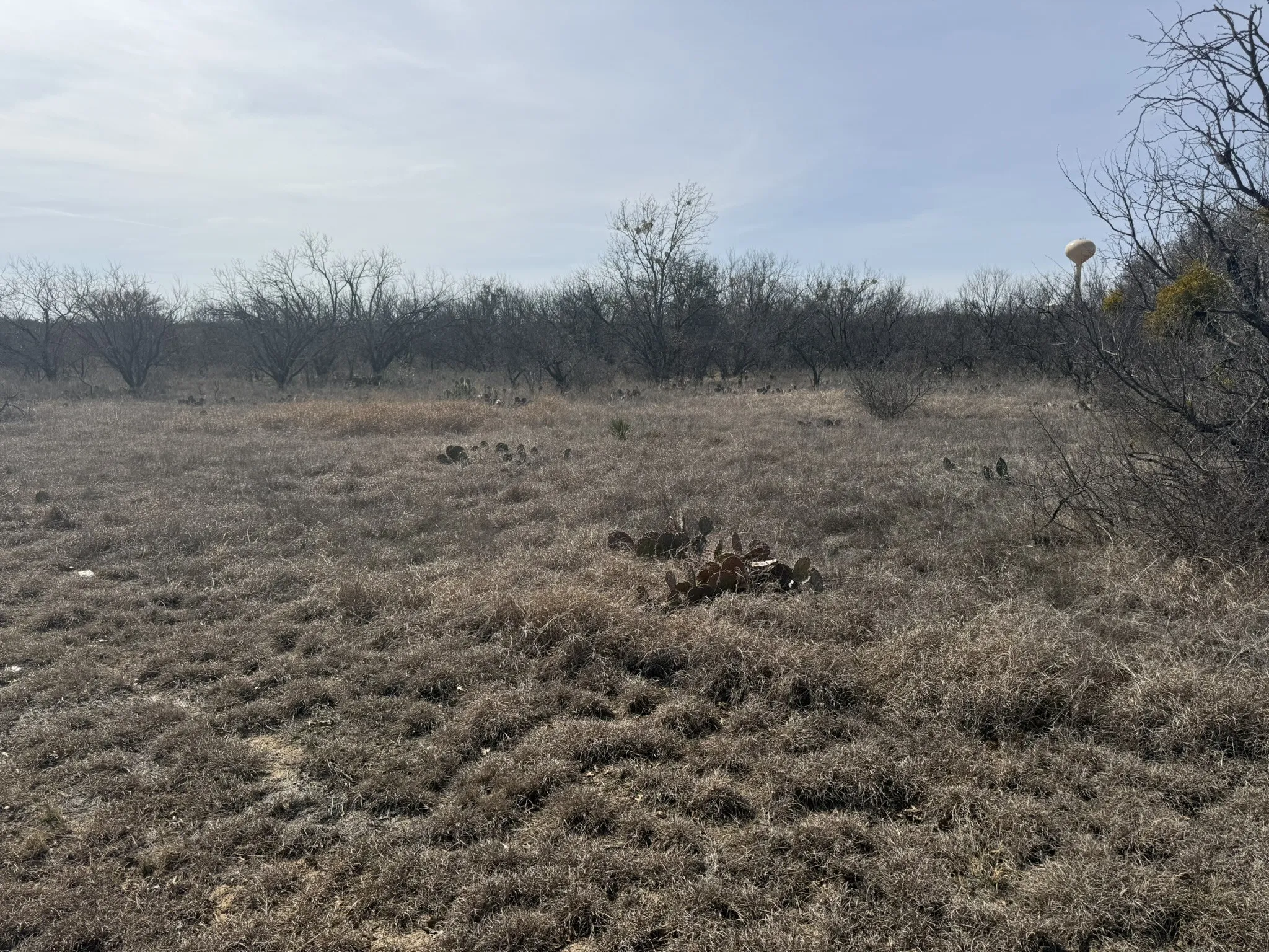 Unimproved Land For Sale in Brown County , TBD 1.75 Acres Sherwood Drive, Brownwood, Texas 76801, 0, 0, Garage spaces, 0 Sqft, built in 0, mls#21187912, Real Estate Agent in Brownwood, Homes For Sale in Brown county, Homes For Sale in Brownwood, Realtor in Brownwood Texas, Real Estate Brokerage Independent Realty Texas, Luminita Cordes Realtor