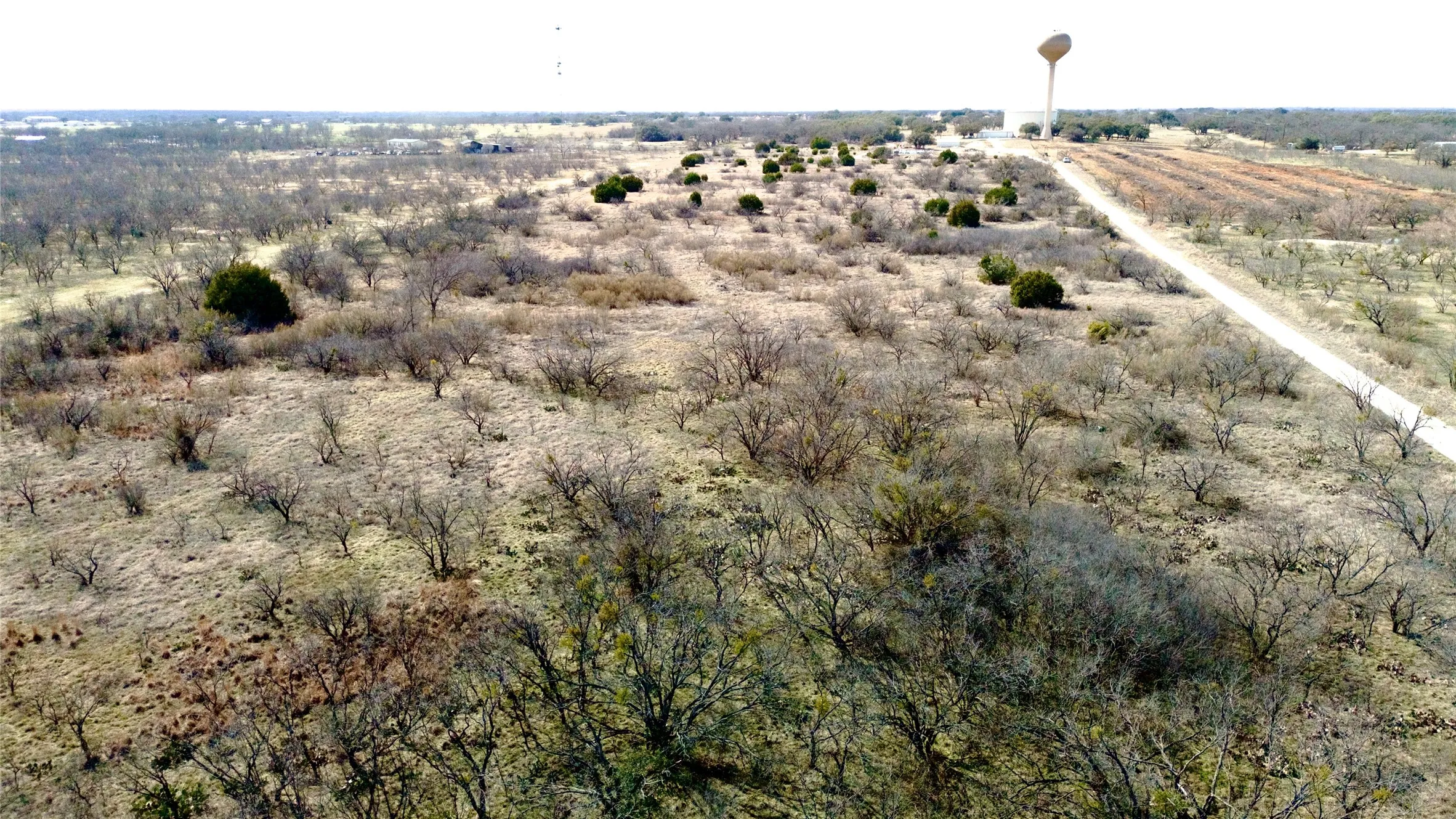Unimproved Land For Sale in Brown County , TBD 1.75 Acres Sherwood Drive, Brownwood, Texas 76801, 0, 0, Garage spaces, 0 Sqft, built in 0, mls#21187912, Real Estate Agent in Brownwood, Homes For Sale in Brown county, Homes For Sale in Brownwood, Realtor in Brownwood Texas, Real Estate Brokerage Independent Realty Texas, Luminita Cordes Realtor