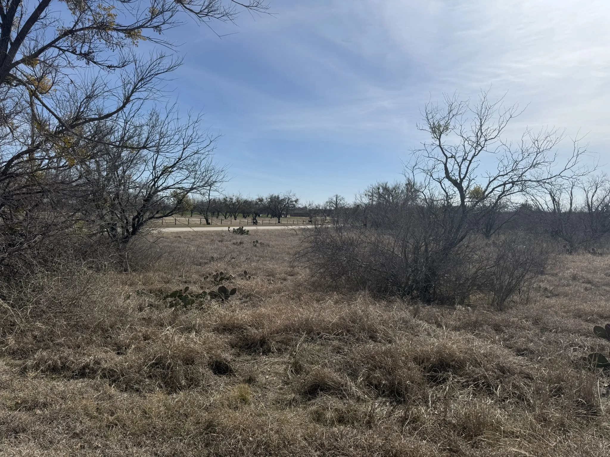 Unimproved Land For Sale in Brown County , TBD 1.75 Acres Sherwood Drive, Brownwood, Texas 76801, 0, 0, Garage spaces, 0 Sqft, built in 0, mls#21187912, Real Estate Agent in Brownwood, Homes For Sale in Brown county, Homes For Sale in Brownwood, Realtor in Brownwood Texas, Real Estate Brokerage Independent Realty Texas, Luminita Cordes Realtor