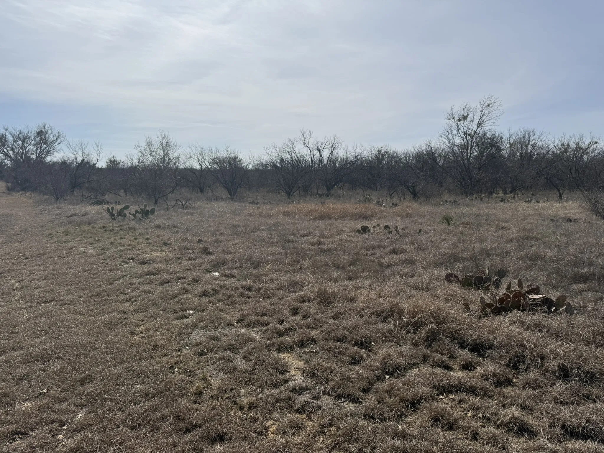 Unimproved Land For Sale in Brown County , TBD 1.75 Acres Sherwood Drive, Brownwood, Texas 76801, 0, 0, Garage spaces, 0 Sqft, built in 0, mls#21187912, Real Estate Agent in Brownwood, Homes For Sale in Brown county, Homes For Sale in Brownwood, Realtor in Brownwood Texas, Real Estate Brokerage Independent Realty Texas, Luminita Cordes Realtor