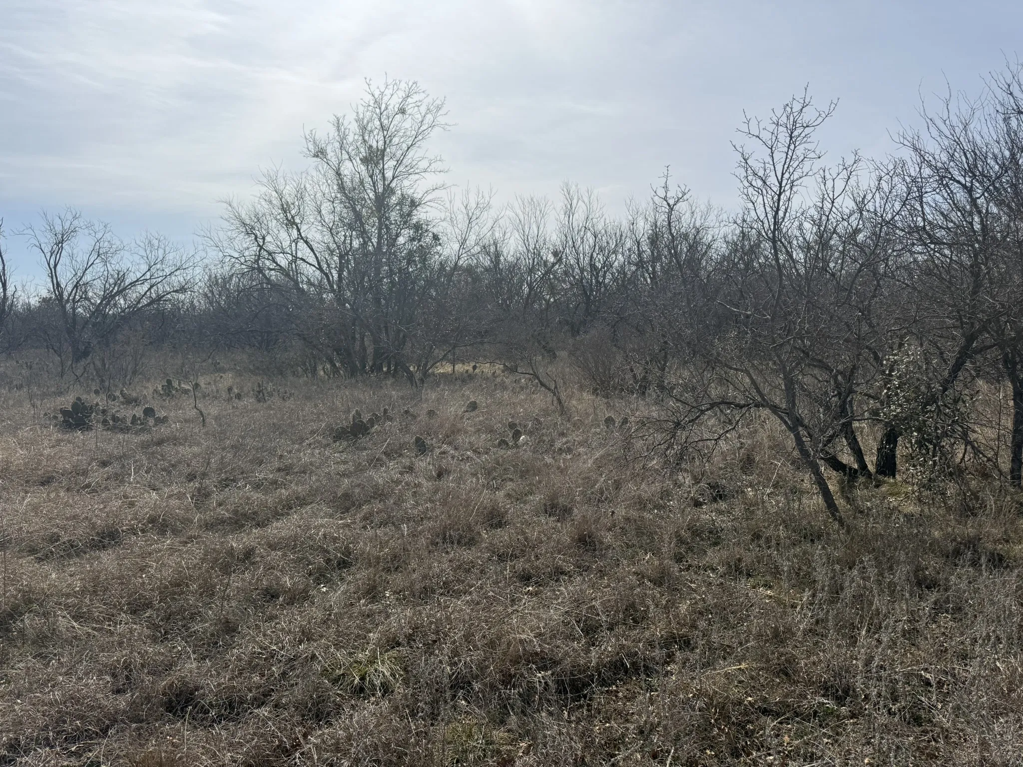 Unimproved Land For Sale in Brown County , TBD 1.75 Acres Sherwood Drive, Brownwood, Texas 76801, 0, 0, Garage spaces, 0 Sqft, built in 0, mls#21187912, Real Estate Agent in Brownwood, Homes For Sale in Brown county, Homes For Sale in Brownwood, Realtor in Brownwood Texas, Real Estate Brokerage Independent Realty Texas, Luminita Cordes Realtor