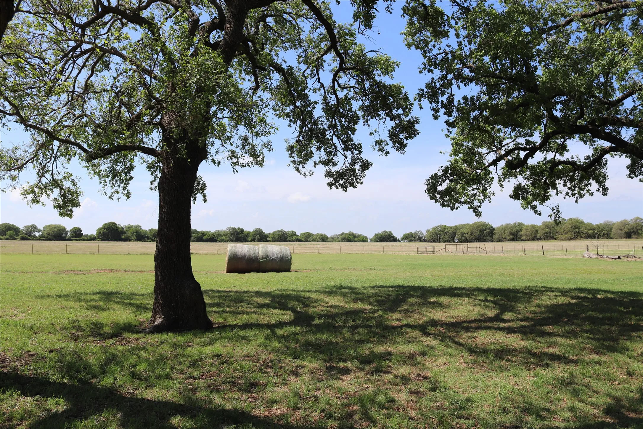 Farm For Sale in Clay County , 2553 Brixey Road, Henrietta, Texas 76365, 4 Bedroom, 2 Bathroom, 2 Garage spaces, 1,922 Sqft, built in 1951, mls#21211842, Real Estate Agent in Henrietta, Homes For Sale in Clay county, Homes For Sale in Henrietta, Realtor in Henrietta Texas, Real Estate Brokerage Independent Realty Texas, Luminita Cordes Realtor