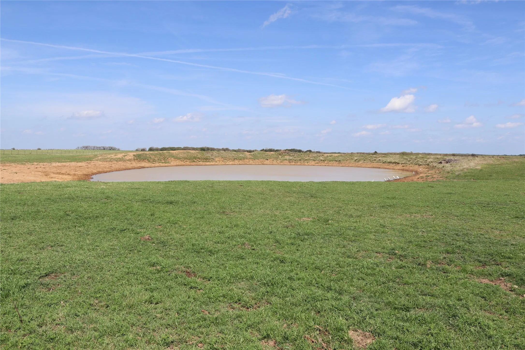 Farm For Sale in Clay County , 2553 Brixey Road, Henrietta, Texas 76365, 4 Bedroom, 2 Bathroom, 2 Garage spaces, 1,922 Sqft, built in 1951, mls#21211842, Real Estate Agent in Henrietta, Homes For Sale in Clay county, Homes For Sale in Henrietta, Realtor in Henrietta Texas, Real Estate Brokerage Independent Realty Texas, Luminita Cordes Realtor