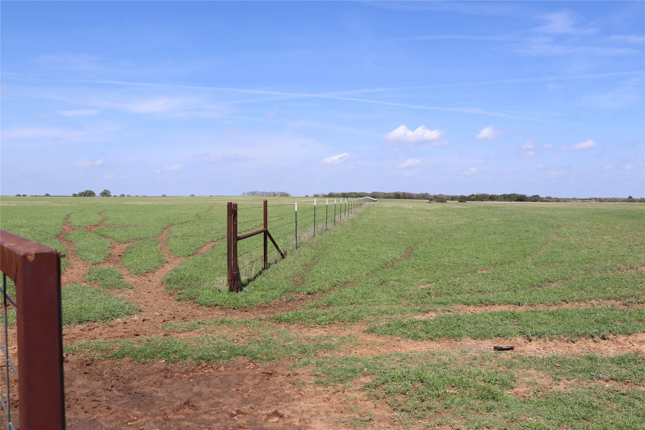 Farm For Sale in Clay County , 2553 Brixey Road, Henrietta, Texas 76365, 4 Bedroom, 2 Bathroom, 2 Garage spaces, 1,922 Sqft, built in 1951, mls#21211842, Real Estate Agent in Henrietta, Homes For Sale in Clay county, Homes For Sale in Henrietta, Realtor in Henrietta Texas, Real Estate Brokerage Independent Realty Texas, Luminita Cordes Realtor
