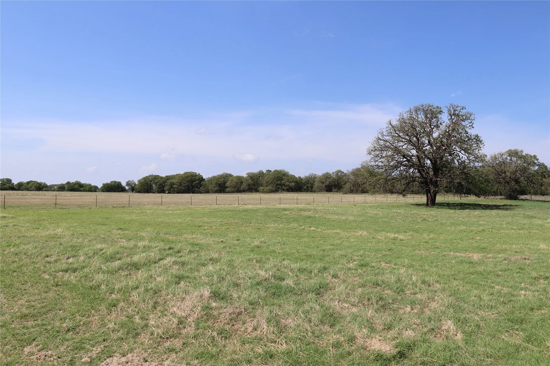Farm For Sale in Clay County , 2553 Brixey Road, Henrietta, Texas 76365, 4 Bedroom, 2 Bathroom, 2 Garage spaces, 1,922 Sqft, built in 1951, mls#21211842, Real Estate Agent in Henrietta, Homes For Sale in Clay county, Homes For Sale in Henrietta, Realtor in Henrietta Texas, Real Estate Brokerage Independent Realty Texas, Luminita Cordes Realtor