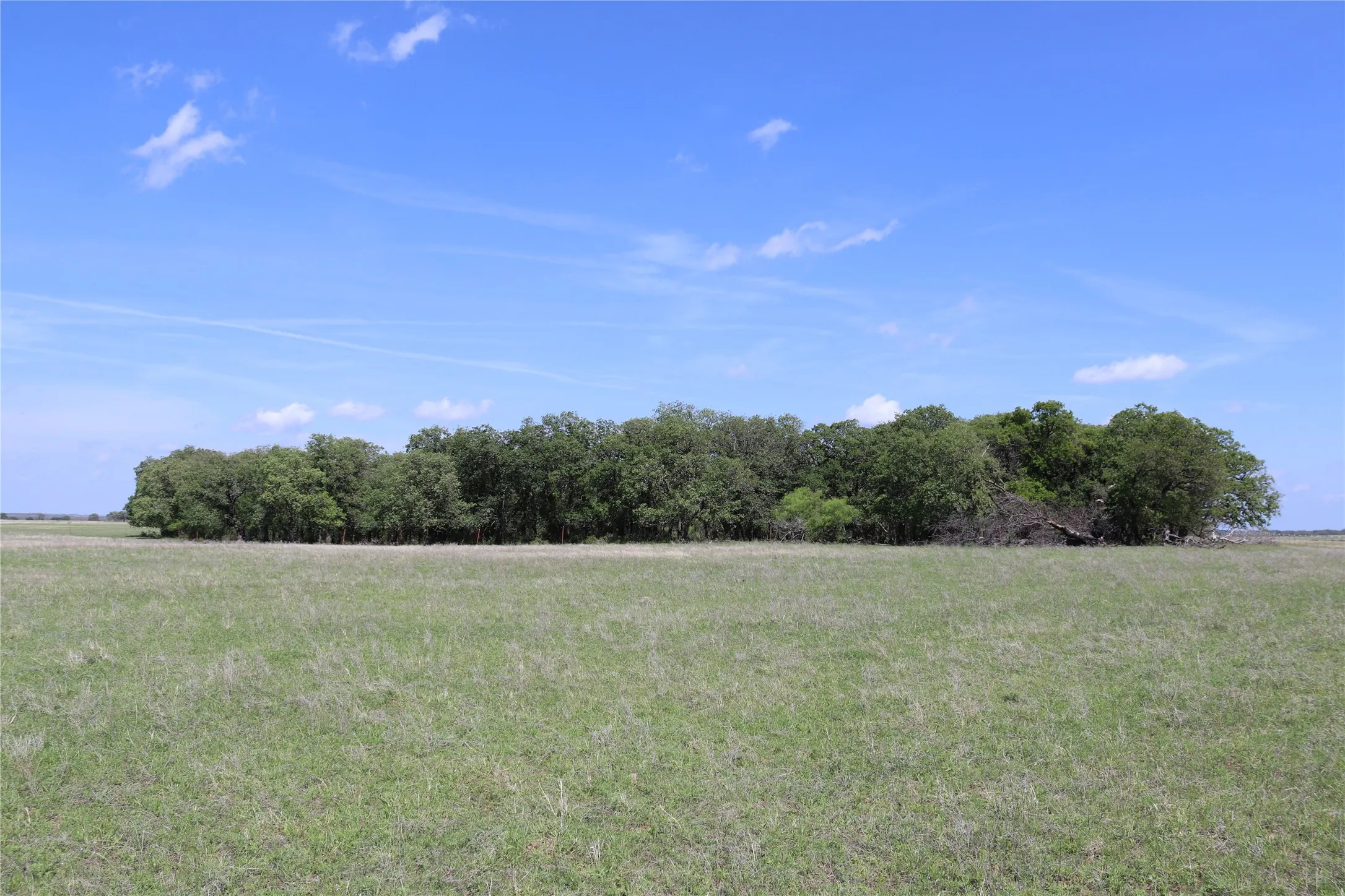 Farm For Sale in Clay County , 2553 Brixey Road, Henrietta, Texas 76365, 4 Bedroom, 2 Bathroom, 2 Garage spaces, 1,922 Sqft, built in 1951, mls#21211842, Real Estate Agent in Henrietta, Homes For Sale in Clay county, Homes For Sale in Henrietta, Realtor in Henrietta Texas, Real Estate Brokerage Independent Realty Texas, Luminita Cordes Realtor