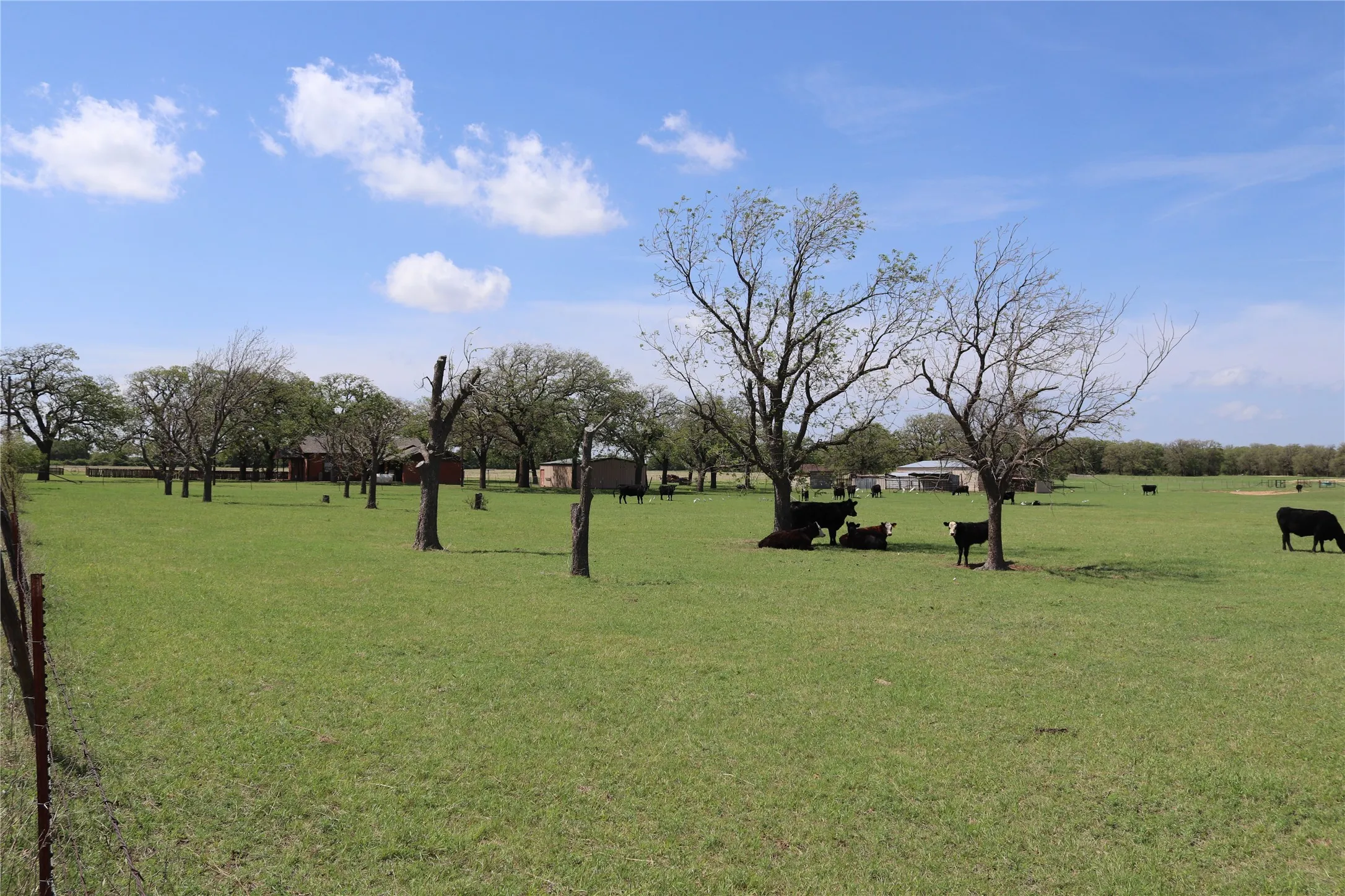 Farm For Sale in Clay County , 2553 Brixey Road, Henrietta, Texas 76365, 4 Bedroom, 2 Bathroom, 2 Garage spaces, 1,922 Sqft, built in 1951, mls#21211842, Real Estate Agent in Henrietta, Homes For Sale in Clay county, Homes For Sale in Henrietta, Realtor in Henrietta Texas, Real Estate Brokerage Independent Realty Texas, Luminita Cordes Realtor