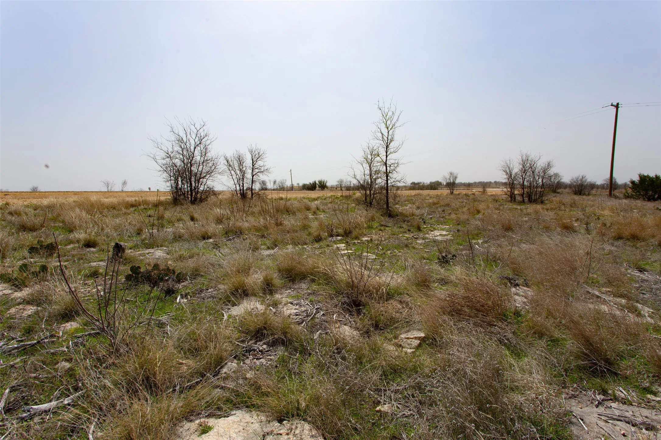 Improved Land For Sale in Palo Pinto County , 121 White Moon Road, Graham, Texas 76450, 0, 0, Garage spaces, 0 Sqft, built in 0, mls#21190754, Real Estate Agent in Graham, Homes For Sale in Palo Pinto county, Homes For Sale in Graham, Realtor in Graham Texas, Real Estate Brokerage Independent Realty Texas, Luminita Cordes Realtor