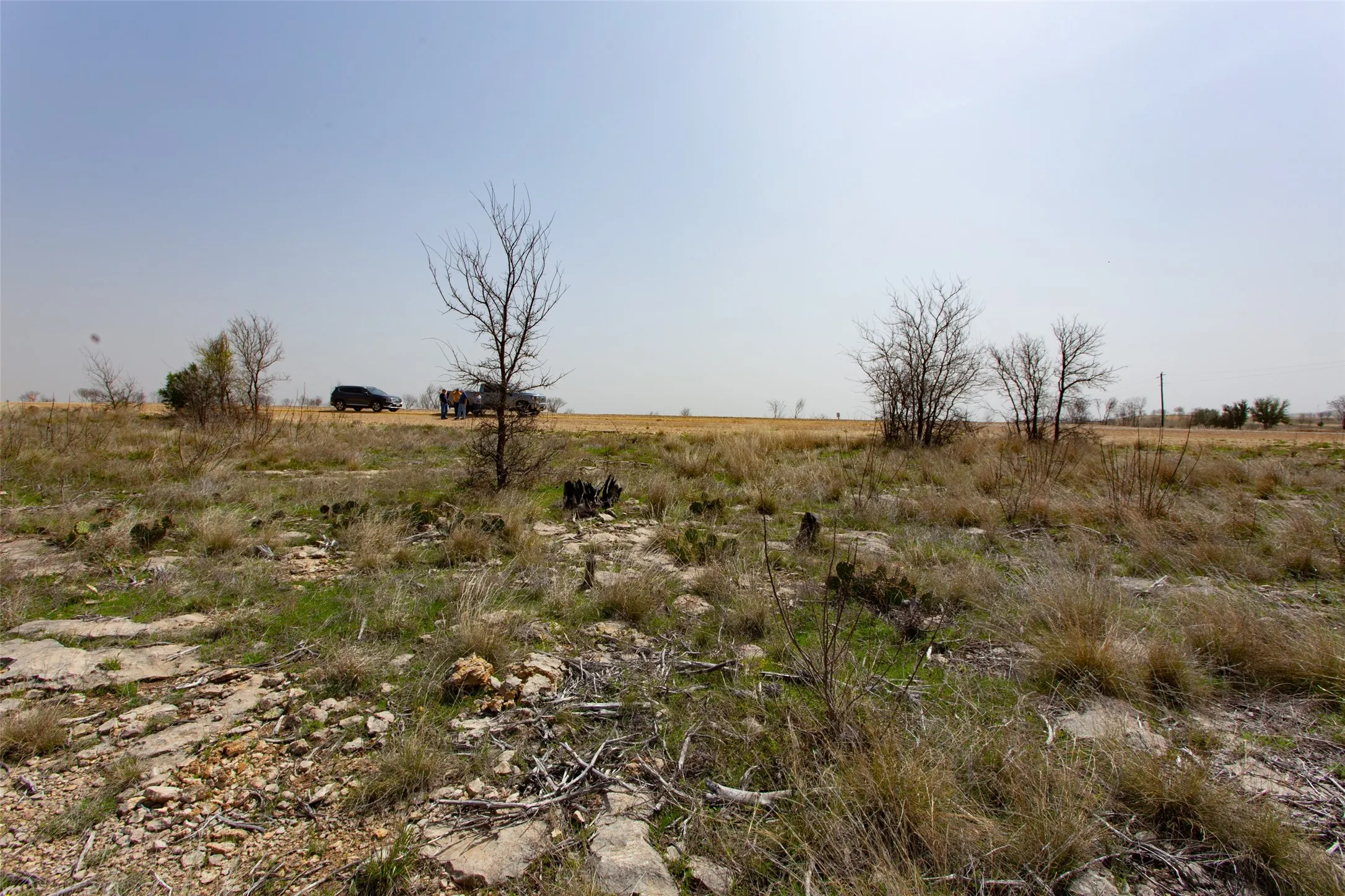 Improved Land For Sale in Palo Pinto County , 121 White Moon Road, Graham, Texas 76450, 0, 0, Garage spaces, 0 Sqft, built in 0, mls#21190754, Real Estate Agent in Graham, Homes For Sale in Palo Pinto county, Homes For Sale in Graham, Realtor in Graham Texas, Real Estate Brokerage Independent Realty Texas, Luminita Cordes Realtor