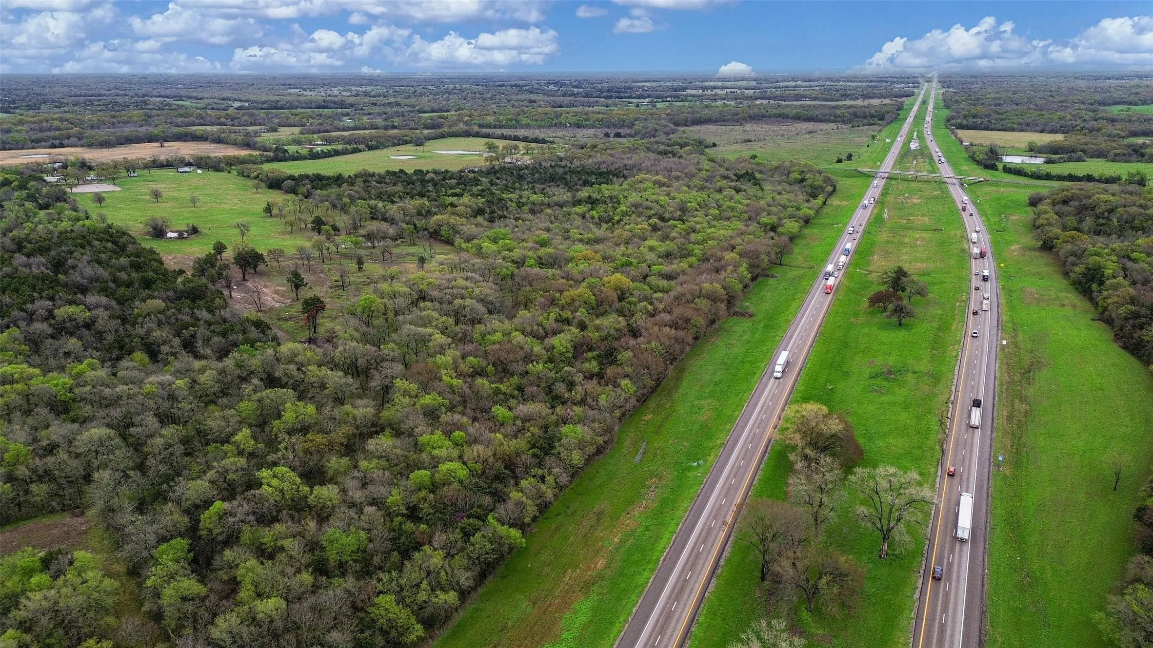 Bird's eye view of a forest