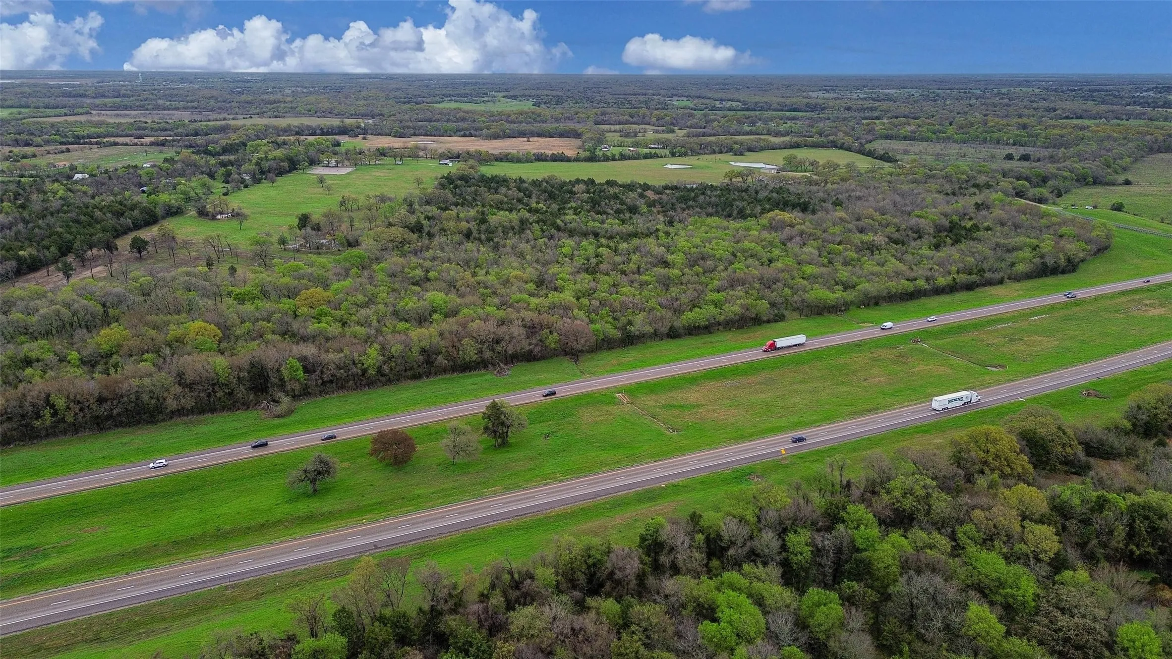 Drone / aerial view of a forest