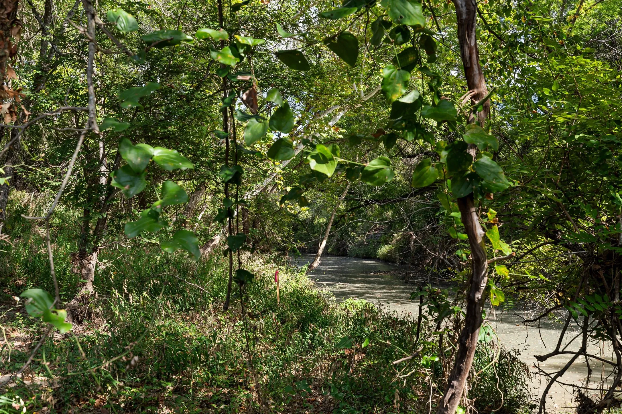 Unimproved Land For Sale in Hood County , TBD Overton Ct S, Granbury, Texas 76048, 0, 0, Garage spaces, 0 Sqft, built in 0, Price $895,000, mls#21211965, Real Estate Agent in Granbury, Homes For Sale in Hood county, Homes For Sale in Granbury, Realtor in Granbury Texas, Real Estate Brokerage Independent Realty Texas, Luminita Cordes Realtor