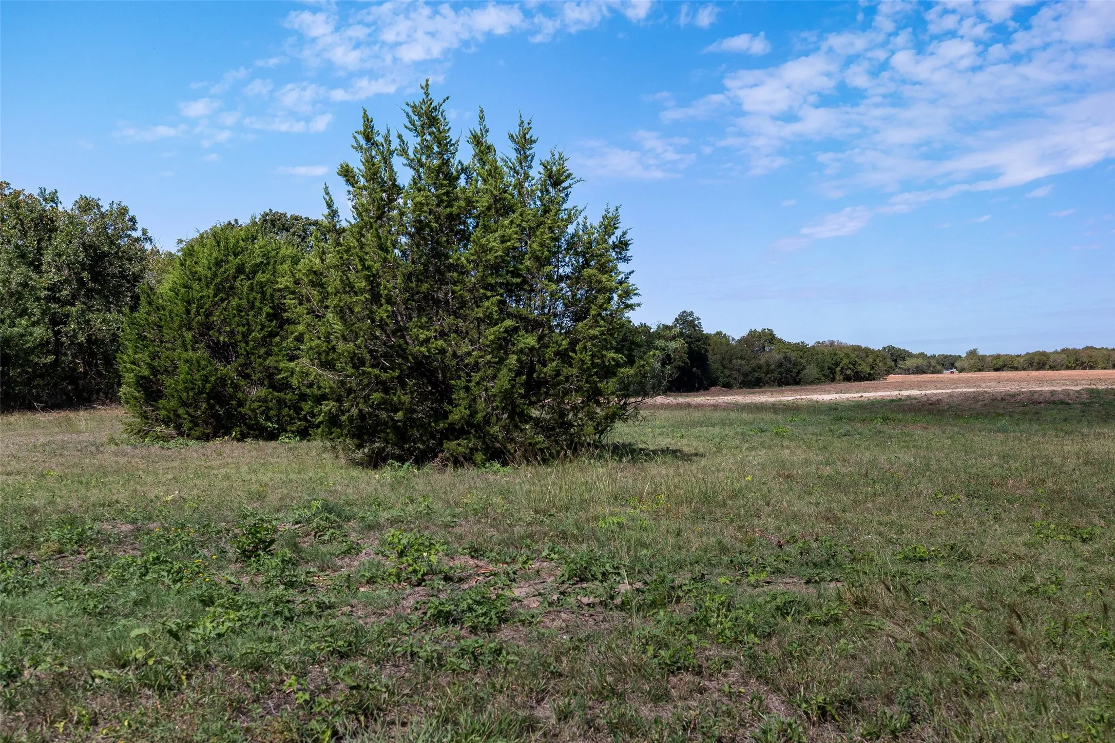 Unimproved Land For Sale in Hood County , TBD Overton Ct S, Granbury, Texas 76048, 0, 0, Garage spaces, 0 Sqft, built in 0, Price $895,000, mls#21211965, Real Estate Agent in Granbury, Homes For Sale in Hood county, Homes For Sale in Granbury, Realtor in Granbury Texas, Real Estate Brokerage Independent Realty Texas, Luminita Cordes Realtor