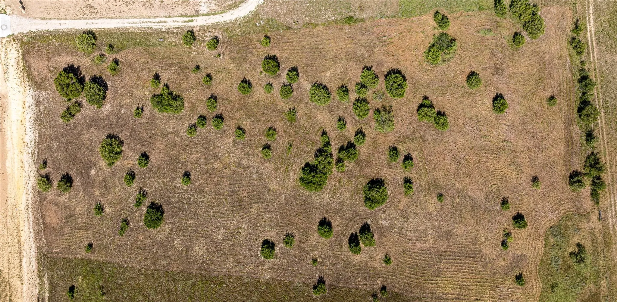 Unimproved Land For Sale in Hood County , 503 Hollow Drive, Tolar, Texas 76476, 0, 0, Garage spaces, 0 Sqft, built in 0, mls#21212023, Real Estate Agent in Tolar, Homes For Sale in Hood county, Homes For Sale in Tolar, Realtor in Tolar Texas, Real Estate Brokerage Independent Realty Texas, Luminita Cordes Realtor