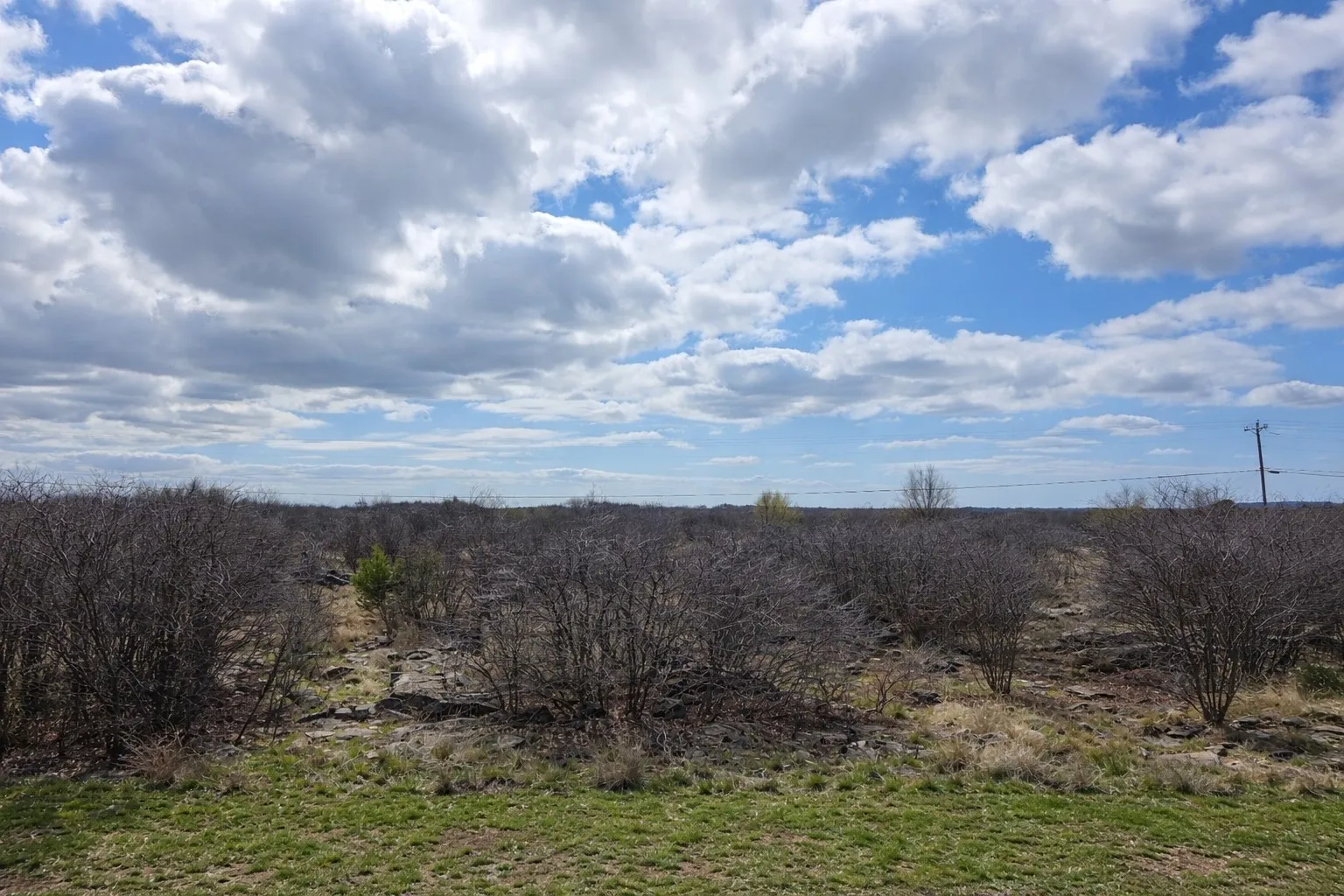 Unimproved Land For Sale in Palo Pinto County , 675 Spyglass Drive, Graford, Texas 76449, 0, 0, Garage spaces, 0 Sqft, built in 0, Price $15,000, mls#21211742, Real Estate Agent in Graford, Homes For Sale in Palo Pinto county, Homes For Sale in Graford, Realtor in Graford Texas, Real Estate Brokerage Independent Realty Texas, Luminita Cordes Realtor
