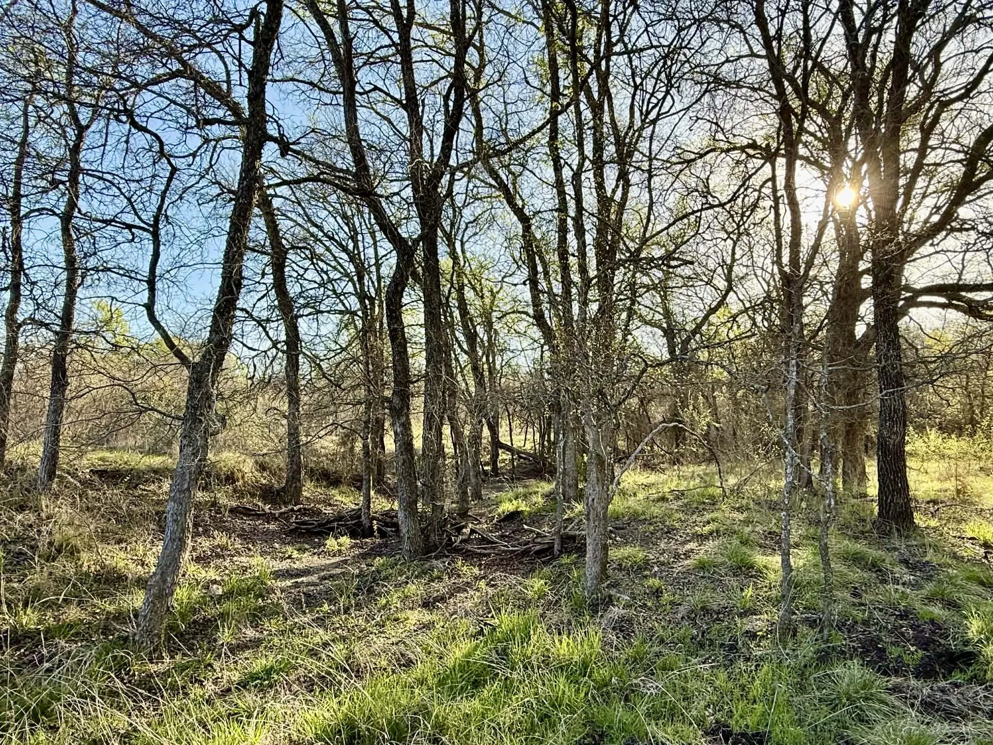 Ranch For Sale in Comanche County , TBD 20.02 acres CR 328, Dublin, Texas 76446, 0, 0, Garage spaces, 0 Sqft, built in 0, Price $195,000, mls#21212141, Real Estate Agent in Dublin, Homes For Sale in Comanche county, Homes For Sale in Dublin, Realtor in Dublin Texas, Real Estate Brokerage Independent Realty Texas, Luminita Cordes Realtor