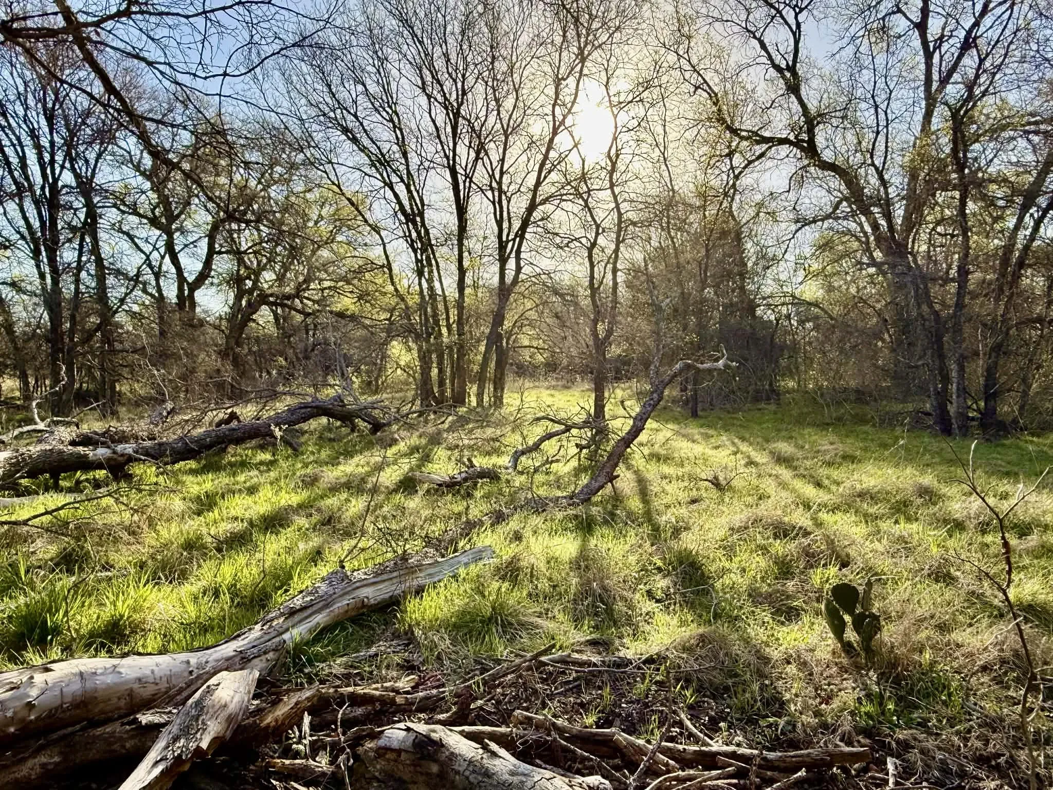 Ranch For Sale in Comanche County , TBD 20.02 acres CR 328, Dublin, Texas 76446, 0, 0, Garage spaces, 0 Sqft, built in 0, Price $195,000, mls#21212141, Real Estate Agent in Dublin, Homes For Sale in Comanche county, Homes For Sale in Dublin, Realtor in Dublin Texas, Real Estate Brokerage Independent Realty Texas, Luminita Cordes Realtor