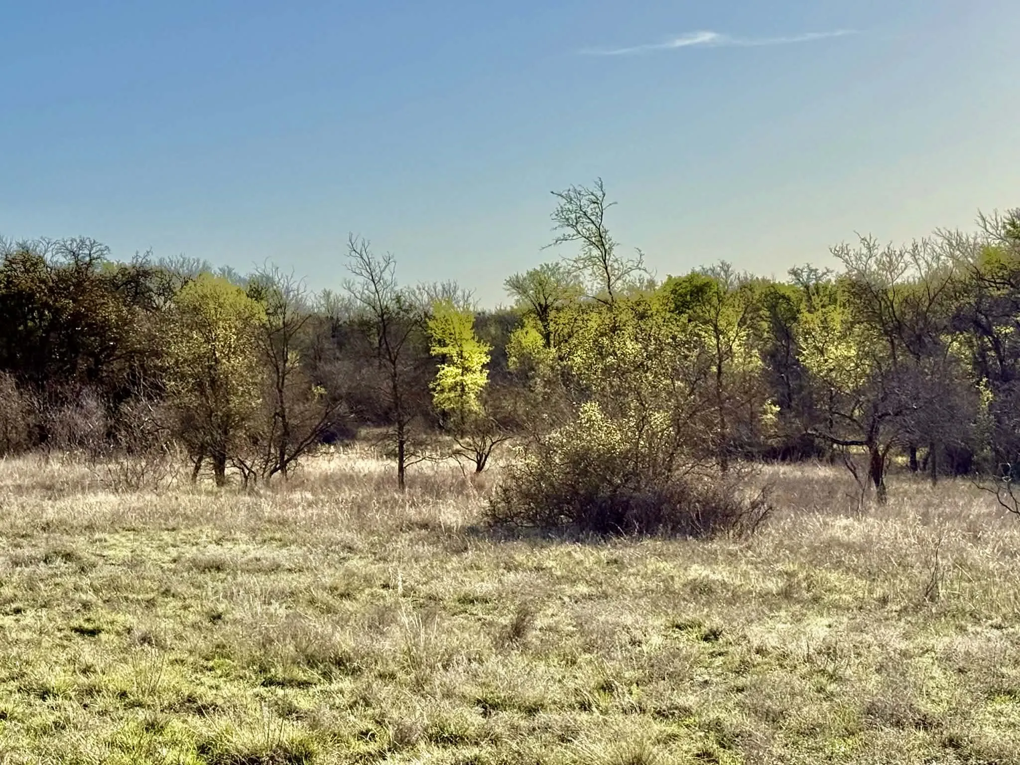 Ranch For Sale in Comanche County , TBD 20.02 acres CR 328, Dublin, Texas 76446, 0, 0, Garage spaces, 0 Sqft, built in 0, Price $195,000, mls#21212141, Real Estate Agent in Dublin, Homes For Sale in Comanche county, Homes For Sale in Dublin, Realtor in Dublin Texas, Real Estate Brokerage Independent Realty Texas, Luminita Cordes Realtor