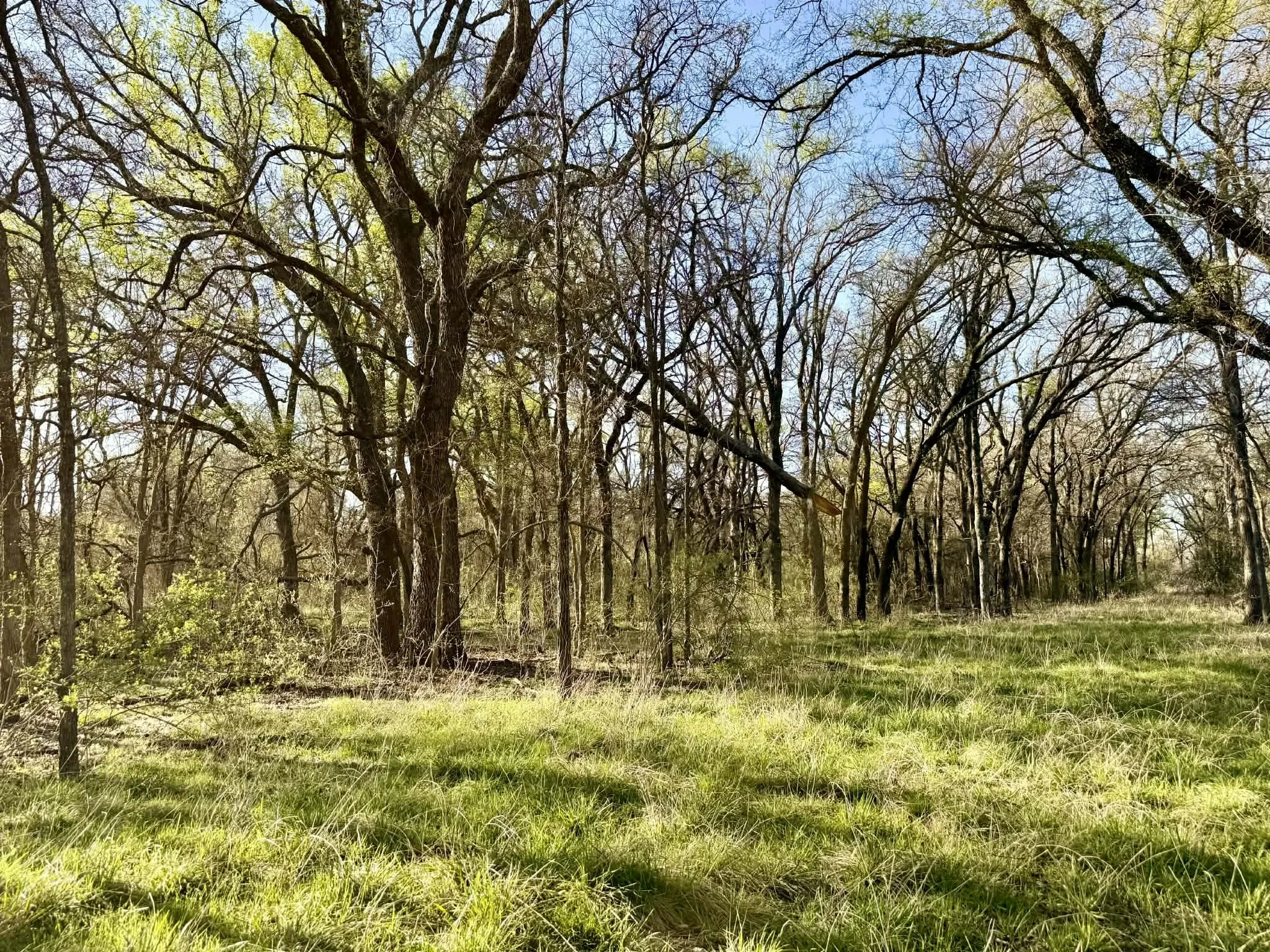 Ranch For Sale in Comanche County , TBD 20.02 acres CR 328, Dublin, Texas 76446, 0, 0, Garage spaces, 0 Sqft, built in 0, Price $195,000, mls#21212141, Real Estate Agent in Dublin, Homes For Sale in Comanche county, Homes For Sale in Dublin, Realtor in Dublin Texas, Real Estate Brokerage Independent Realty Texas, Luminita Cordes Realtor