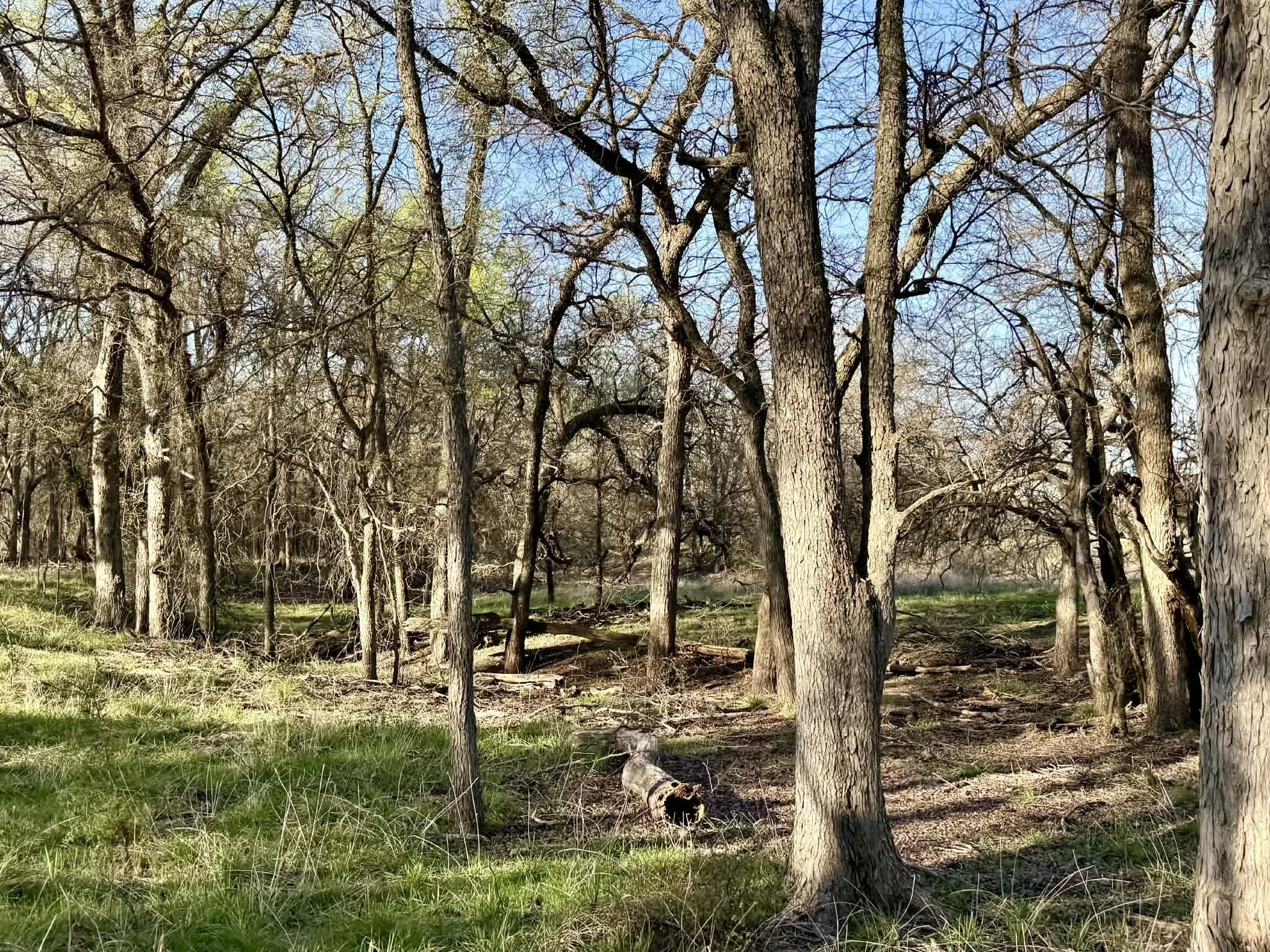 Ranch For Sale in Comanche County , TBD 20.02 acres CR 328, Dublin, Texas 76446, 0, 0, Garage spaces, 0 Sqft, built in 0, Price $195,000, mls#21212141, Real Estate Agent in Dublin, Homes For Sale in Comanche county, Homes For Sale in Dublin, Realtor in Dublin Texas, Real Estate Brokerage Independent Realty Texas, Luminita Cordes Realtor