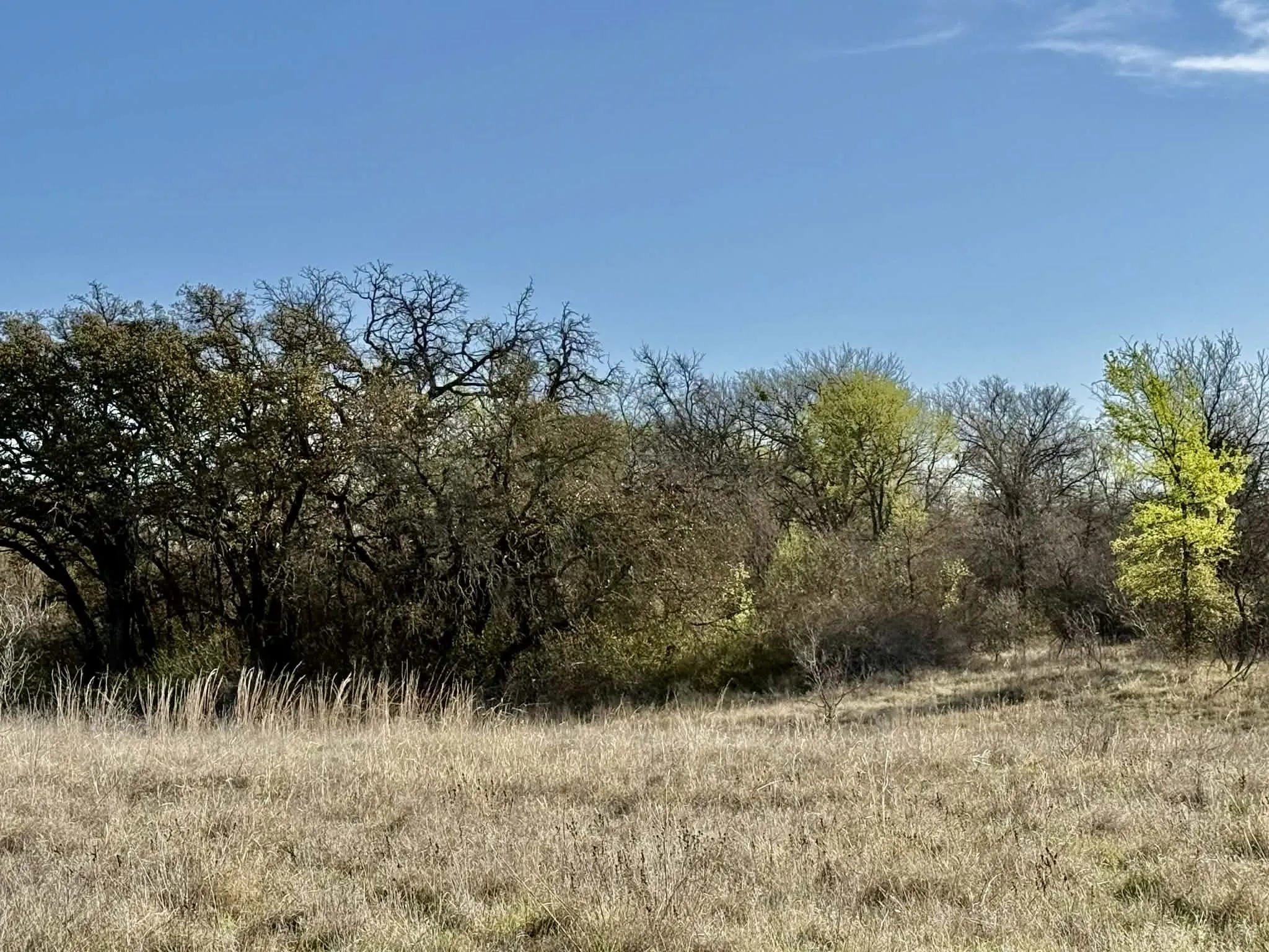 Ranch For Sale in Comanche County , TBD 20.02 acres CR 328, Dublin, Texas 76446, 0, 0, Garage spaces, 0 Sqft, built in 0, Price $195,000, mls#21212141, Real Estate Agent in Dublin, Homes For Sale in Comanche county, Homes For Sale in Dublin, Realtor in Dublin Texas, Real Estate Brokerage Independent Realty Texas, Luminita Cordes Realtor