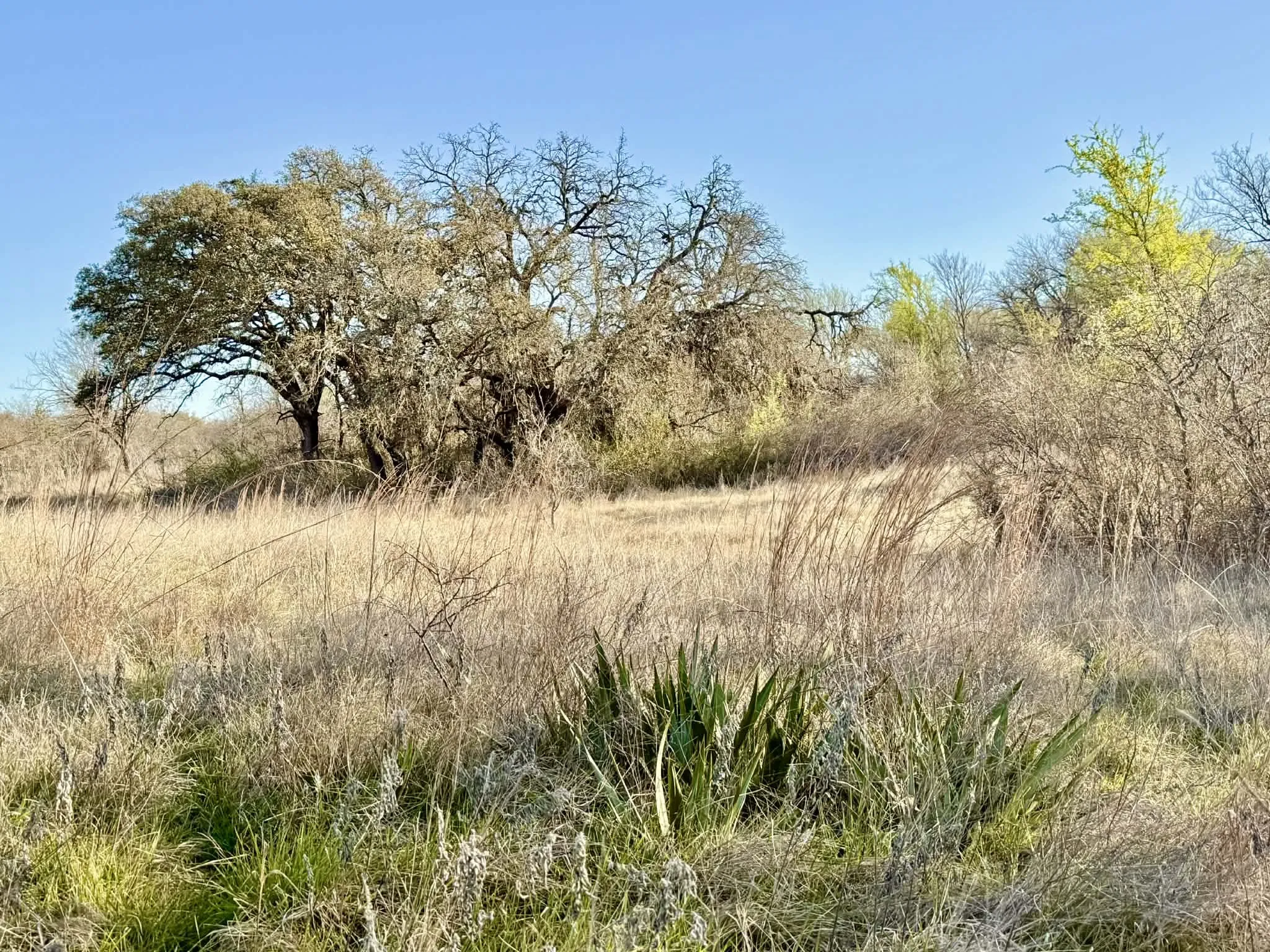 Ranch For Sale in Comanche County , TBD 20.02 acres CR 328, Dublin, Texas 76446, 0, 0, Garage spaces, 0 Sqft, built in 0, Price $195,000, mls#21212141, Real Estate Agent in Dublin, Homes For Sale in Comanche county, Homes For Sale in Dublin, Realtor in Dublin Texas, Real Estate Brokerage Independent Realty Texas, Luminita Cordes Realtor