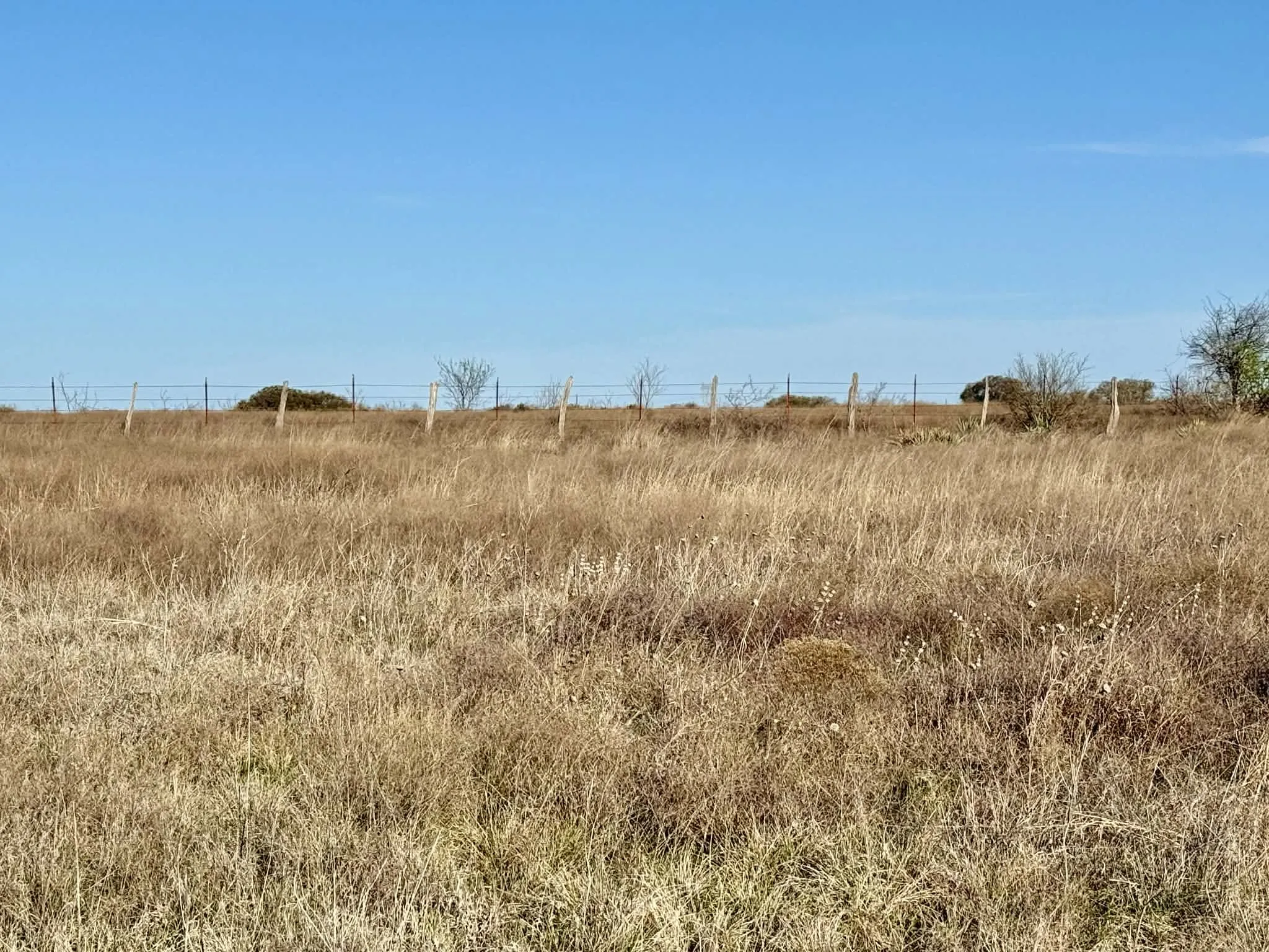 Ranch For Sale in Comanche County , TBD 20.02 acres CR 328, Dublin, Texas 76446, 0, 0, Garage spaces, 0 Sqft, built in 0, Price $195,000, mls#21212141, Real Estate Agent in Dublin, Homes For Sale in Comanche county, Homes For Sale in Dublin, Realtor in Dublin Texas, Real Estate Brokerage Independent Realty Texas, Luminita Cordes Realtor