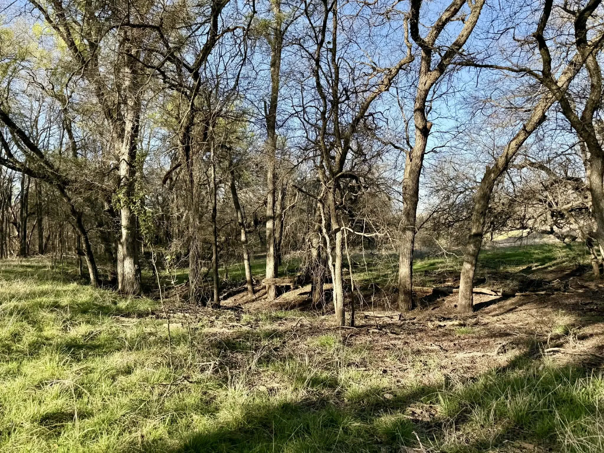 Ranch For Sale in Comanche County , TBD 20.02 acres CR 328, Dublin, Texas 76446, 0, 0, Garage spaces, 0 Sqft, built in 0, Price $195,000, mls#21212141, Real Estate Agent in Dublin, Homes For Sale in Comanche county, Homes For Sale in Dublin, Realtor in Dublin Texas, Real Estate Brokerage Independent Realty Texas, Luminita Cordes Realtor