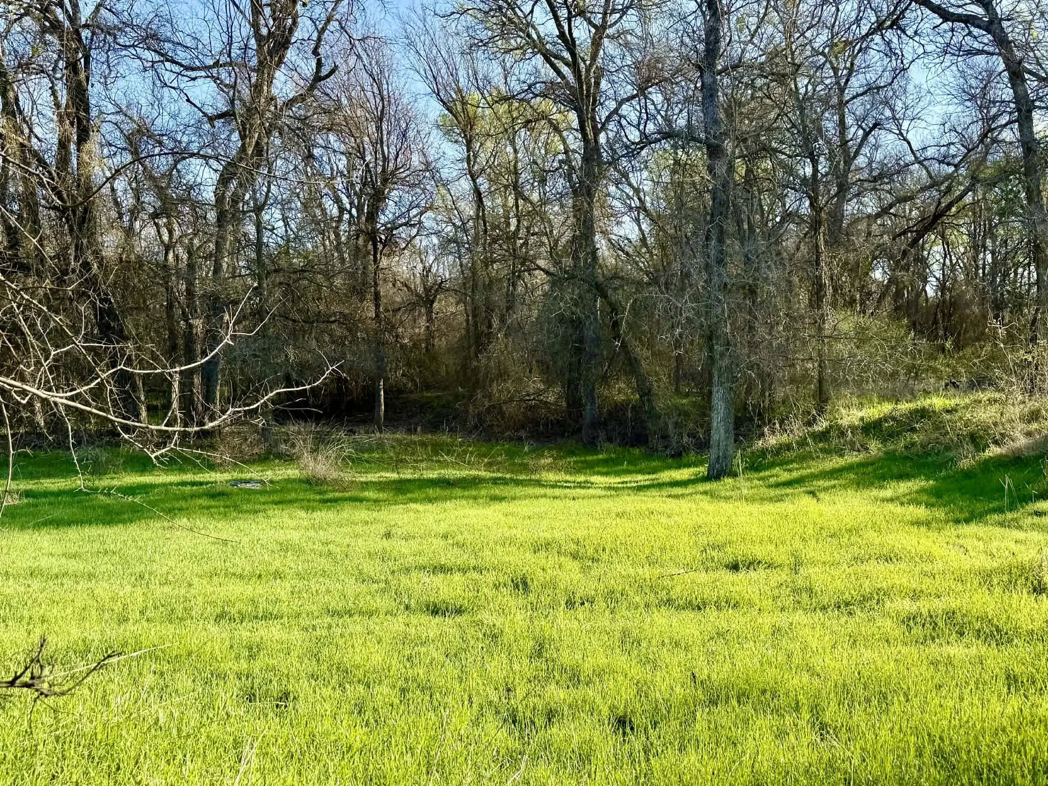 Ranch For Sale in Comanche County , TBD 20.02 acres CR 328, Dublin, Texas 76446, 0, 0, Garage spaces, 0 Sqft, built in 0, Price $195,000, mls#21212141, Real Estate Agent in Dublin, Homes For Sale in Comanche county, Homes For Sale in Dublin, Realtor in Dublin Texas, Real Estate Brokerage Independent Realty Texas, Luminita Cordes Realtor