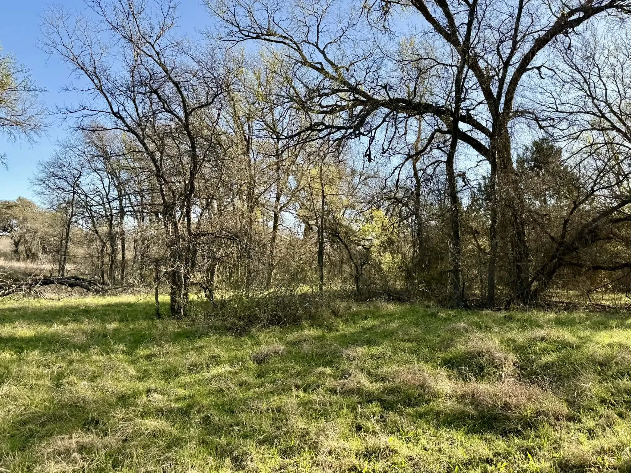 Ranch For Sale in Comanche County , TBD 20.02 acres CR 328, Dublin, Texas 76446, 0, 0, Garage spaces, 0 Sqft, built in 0, Price $195,000, mls#21212141, Real Estate Agent in Dublin, Homes For Sale in Comanche county, Homes For Sale in Dublin, Realtor in Dublin Texas, Real Estate Brokerage Independent Realty Texas, Luminita Cordes Realtor