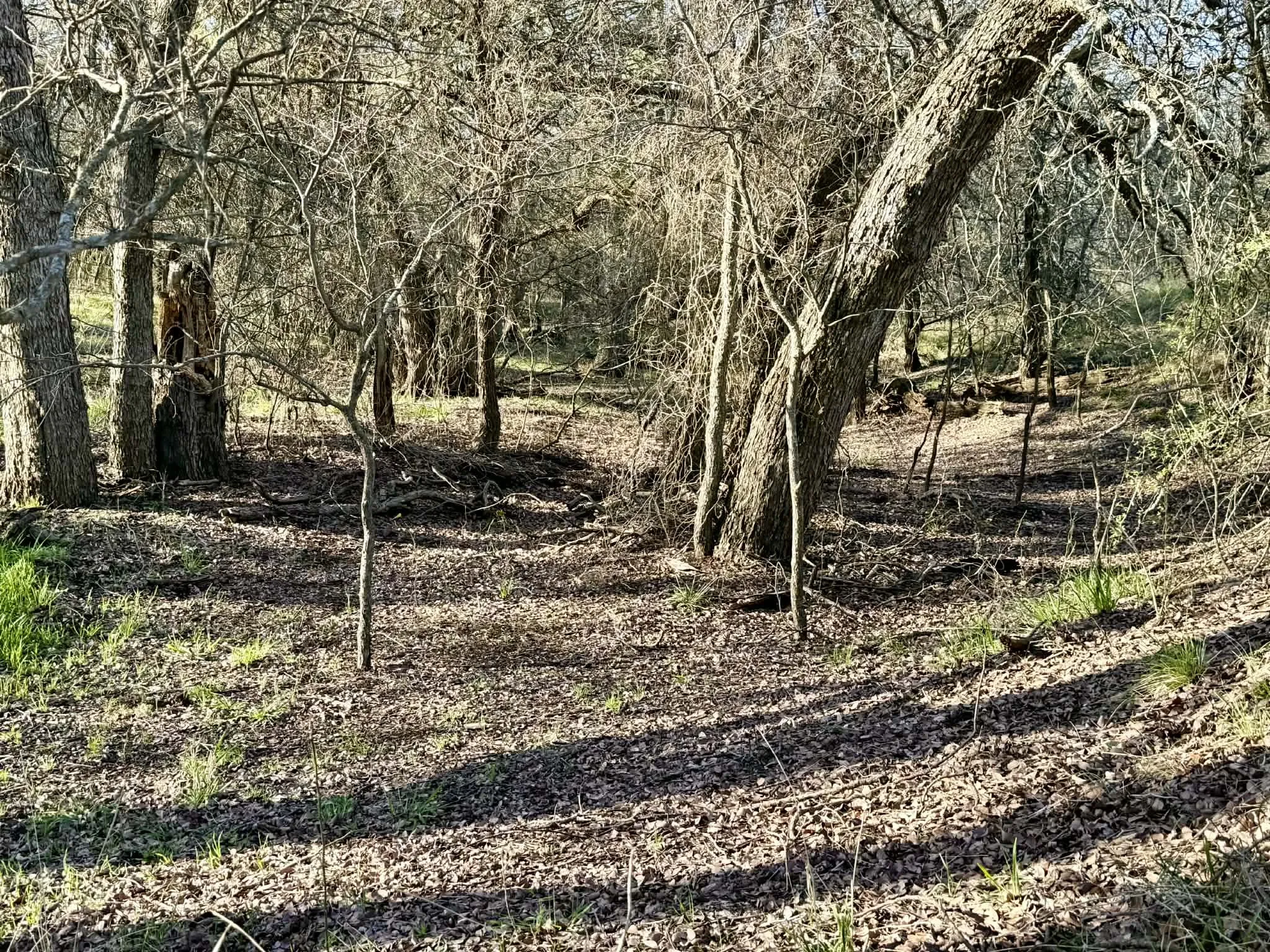 Ranch For Sale in Comanche County , TBD 20.02 acres CR 328, Dublin, Texas 76446, 0, 0, Garage spaces, 0 Sqft, built in 0, Price $195,000, mls#21212141, Real Estate Agent in Dublin, Homes For Sale in Comanche county, Homes For Sale in Dublin, Realtor in Dublin Texas, Real Estate Brokerage Independent Realty Texas, Luminita Cordes Realtor