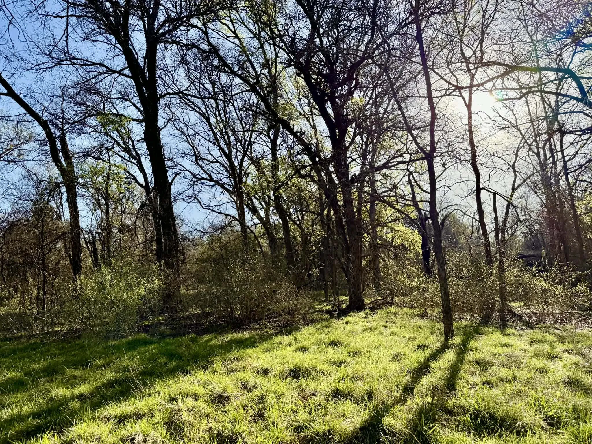 Ranch For Sale in Comanche County , TBD 20.02 acres CR 328, Dublin, Texas 76446, 0, 0, Garage spaces, 0 Sqft, built in 0, Price $195,000, mls#21212141, Real Estate Agent in Dublin, Homes For Sale in Comanche county, Homes For Sale in Dublin, Realtor in Dublin Texas, Real Estate Brokerage Independent Realty Texas, Luminita Cordes Realtor