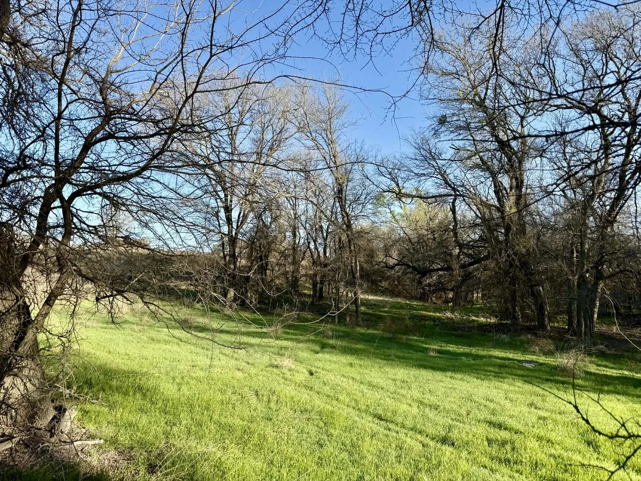 Ranch For Sale in Comanche County , TBD 20.02 acres CR 328, Dublin, Texas 76446, 0, 0, Garage spaces, 0 Sqft, built in 0, Price $195,000, mls#21212141, Real Estate Agent in Dublin, Homes For Sale in Comanche county, Homes For Sale in Dublin, Realtor in Dublin Texas, Real Estate Brokerage Independent Realty Texas, Luminita Cordes Realtor