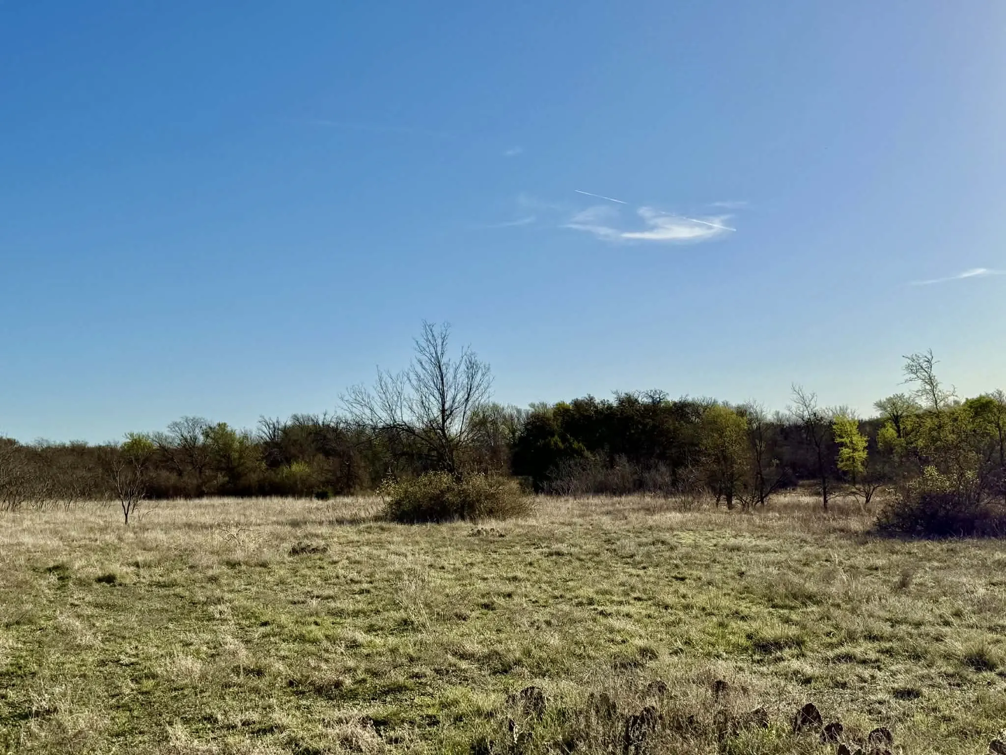Ranch For Sale in Comanche County , TBD 20.02 acres CR 328, Dublin, Texas 76446, 0, 0, Garage spaces, 0 Sqft, built in 0, Price $195,000, mls#21212141, Real Estate Agent in Dublin, Homes For Sale in Comanche county, Homes For Sale in Dublin, Realtor in Dublin Texas, Real Estate Brokerage Independent Realty Texas, Luminita Cordes Realtor