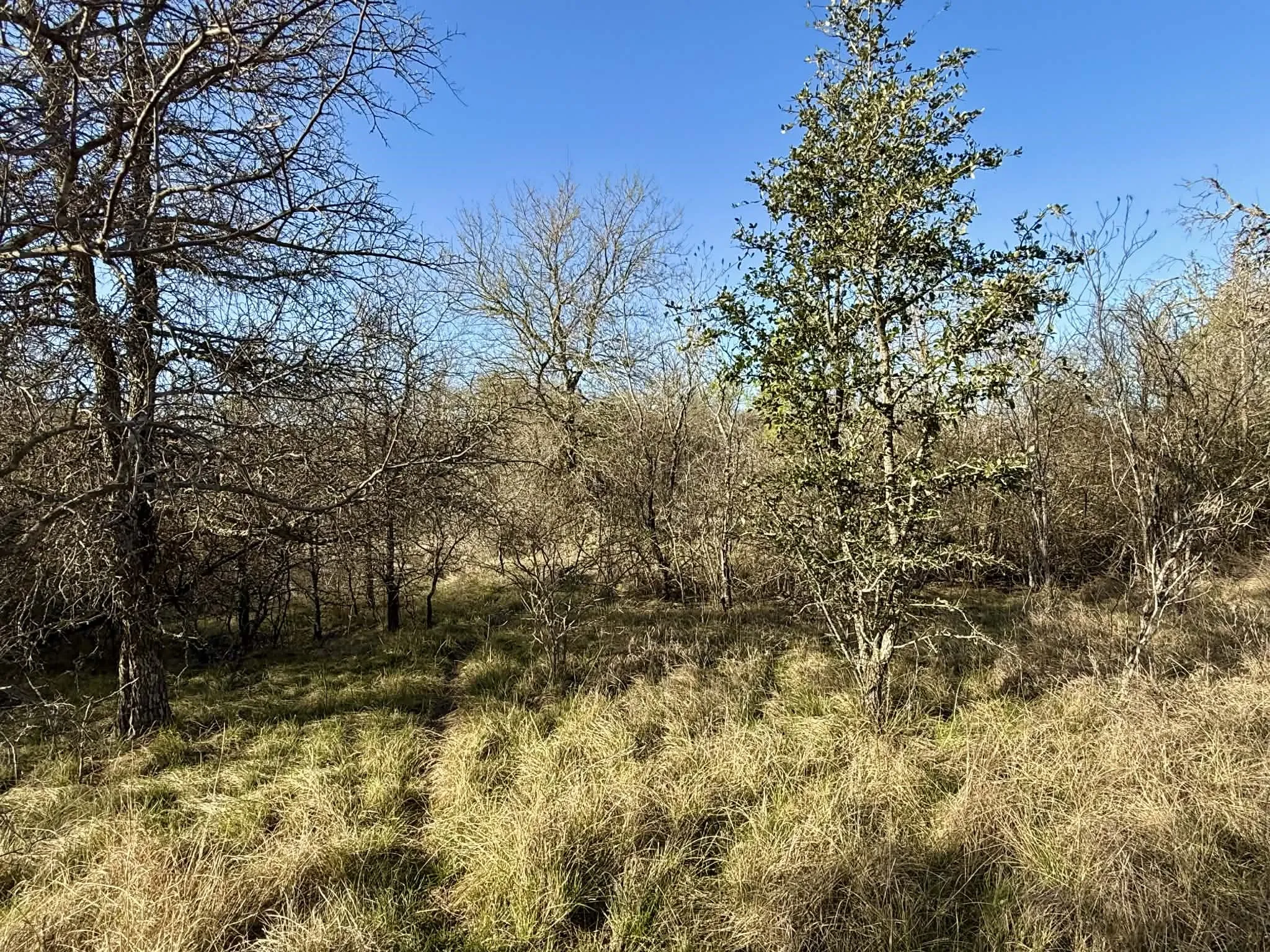 Ranch For Sale in Comanche County , TBD 20.02 acres CR 328, Dublin, Texas 76446, 0, 0, Garage spaces, 0 Sqft, built in 0, Price $195,000, mls#21212141, Real Estate Agent in Dublin, Homes For Sale in Comanche county, Homes For Sale in Dublin, Realtor in Dublin Texas, Real Estate Brokerage Independent Realty Texas, Luminita Cordes Realtor