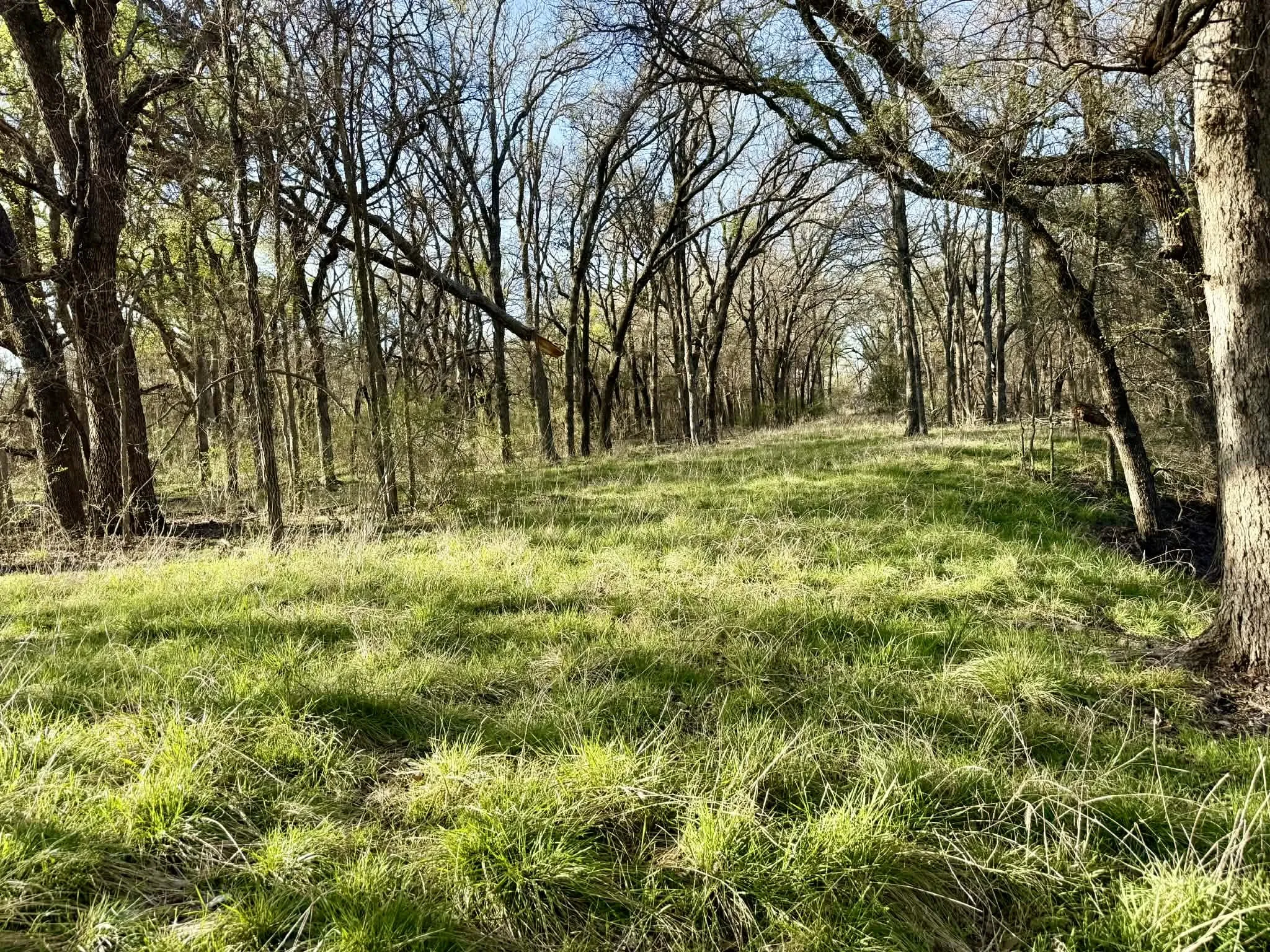 Ranch For Sale in Comanche County , TBD 20.02 acres CR 328, Dublin, Texas 76446, 0, 0, Garage spaces, 0 Sqft, built in 0, Price $195,000, mls#21212141, Real Estate Agent in Dublin, Homes For Sale in Comanche county, Homes For Sale in Dublin, Realtor in Dublin Texas, Real Estate Brokerage Independent Realty Texas, Luminita Cordes Realtor
