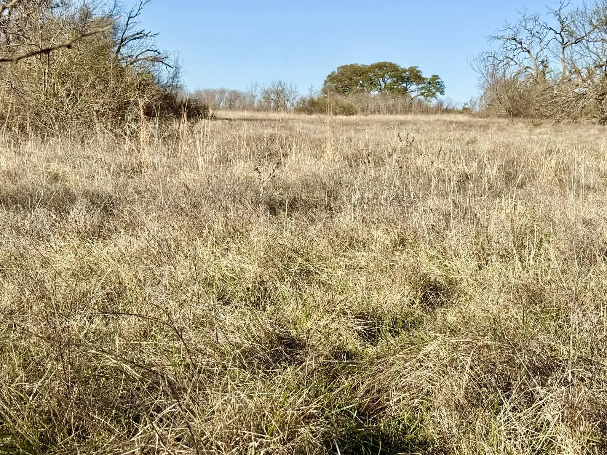 Ranch For Sale in Comanche County , TBD 20.02 acres CR 328, Dublin, Texas 76446, 0, 0, Garage spaces, 0 Sqft, built in 0, Price $195,000, mls#21212141, Real Estate Agent in Dublin, Homes For Sale in Comanche county, Homes For Sale in Dublin, Realtor in Dublin Texas, Real Estate Brokerage Independent Realty Texas, Luminita Cordes Realtor