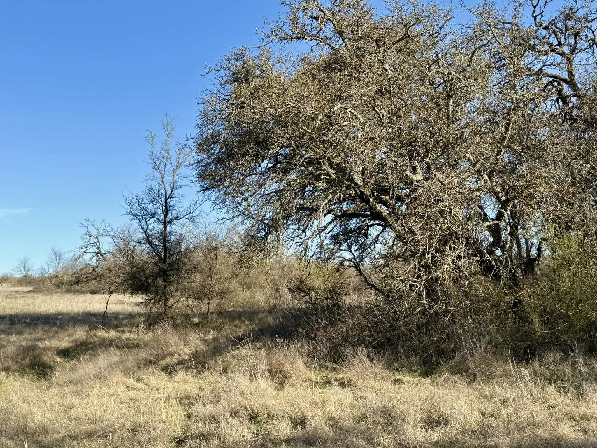 Ranch For Sale in Comanche County , TBD 20.02 acres CR 328, Dublin, Texas 76446, 0, 0, Garage spaces, 0 Sqft, built in 0, Price $195,000, mls#21212141, Real Estate Agent in Dublin, Homes For Sale in Comanche county, Homes For Sale in Dublin, Realtor in Dublin Texas, Real Estate Brokerage Independent Realty Texas, Luminita Cordes Realtor