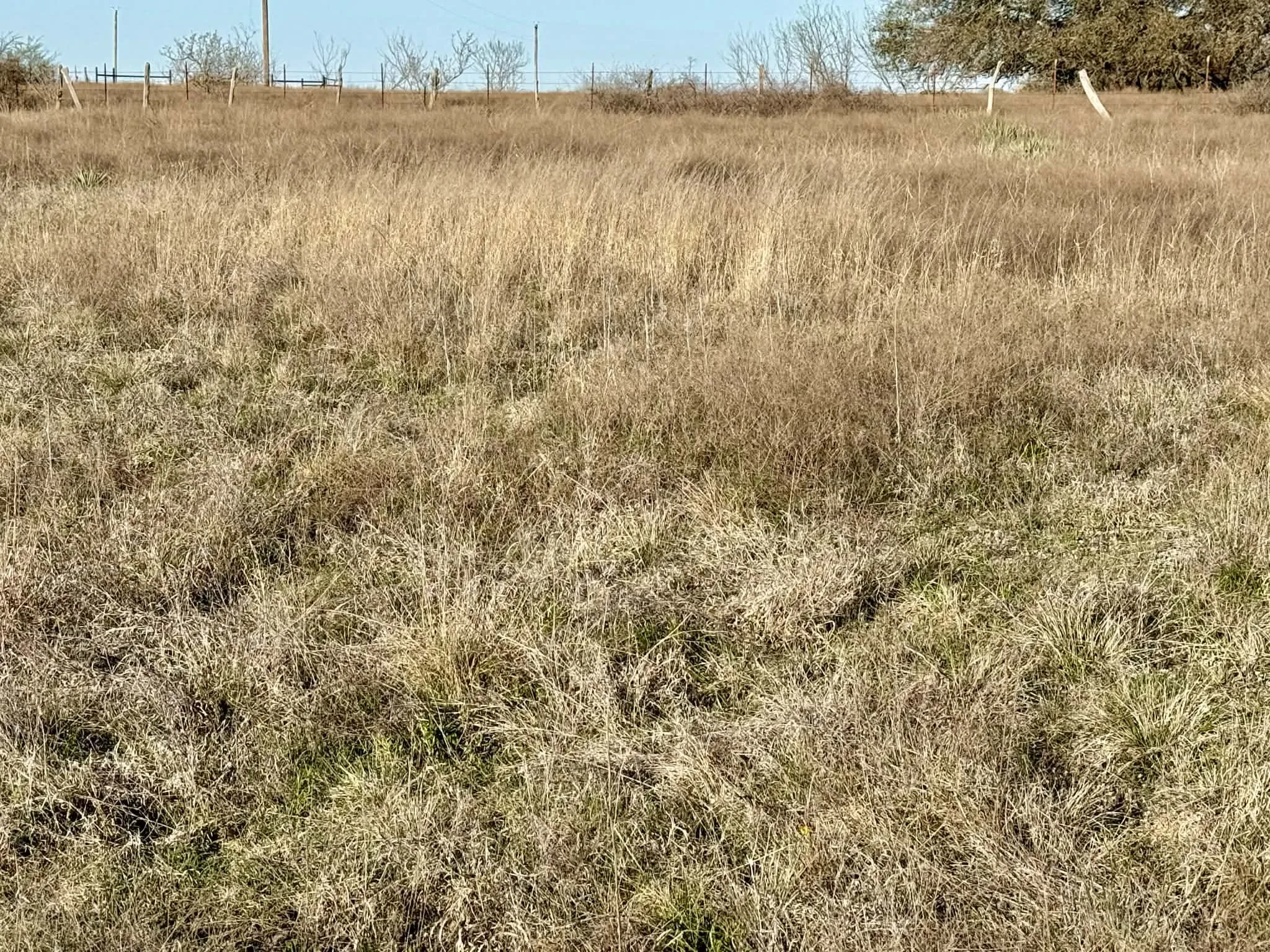 Ranch For Sale in Comanche County , TBD 20.02 acres CR 328, Dublin, Texas 76446, 0, 0, Garage spaces, 0 Sqft, built in 0, Price $195,000, mls#21212141, Real Estate Agent in Dublin, Homes For Sale in Comanche county, Homes For Sale in Dublin, Realtor in Dublin Texas, Real Estate Brokerage Independent Realty Texas, Luminita Cordes Realtor