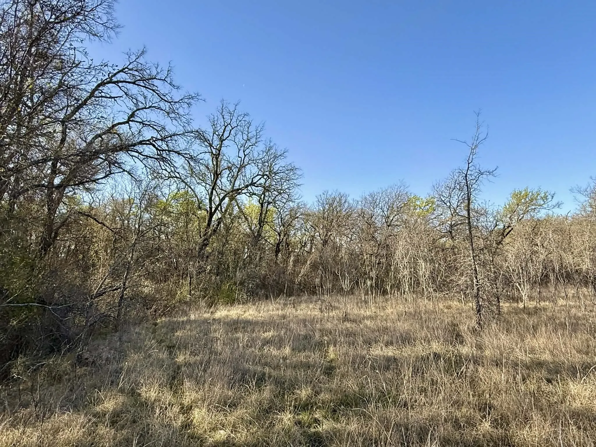 Ranch For Sale in Comanche County , TBD 20.02 acres CR 328, Dublin, Texas 76446, 0, 0, Garage spaces, 0 Sqft, built in 0, Price $195,000, mls#21212141, Real Estate Agent in Dublin, Homes For Sale in Comanche county, Homes For Sale in Dublin, Realtor in Dublin Texas, Real Estate Brokerage Independent Realty Texas, Luminita Cordes Realtor