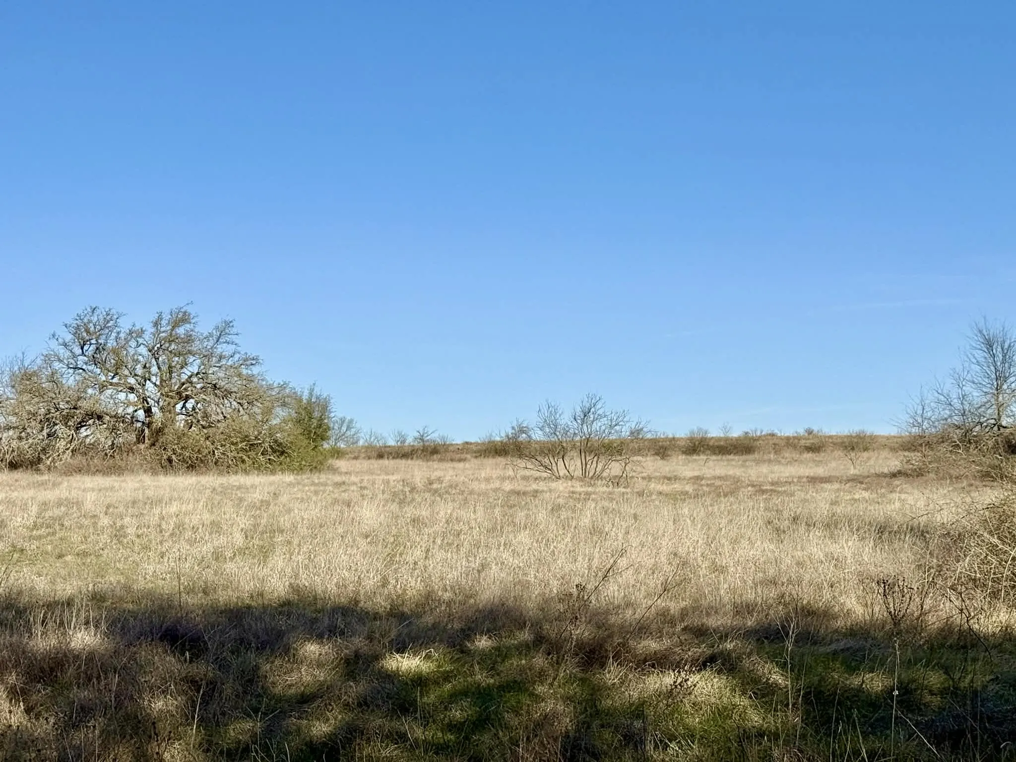 Ranch For Sale in Comanche County , TBD 20.02 acres CR 328, Dublin, Texas 76446, 0, 0, Garage spaces, 0 Sqft, built in 0, Price $195,000, mls#21212141, Real Estate Agent in Dublin, Homes For Sale in Comanche county, Homes For Sale in Dublin, Realtor in Dublin Texas, Real Estate Brokerage Independent Realty Texas, Luminita Cordes Realtor