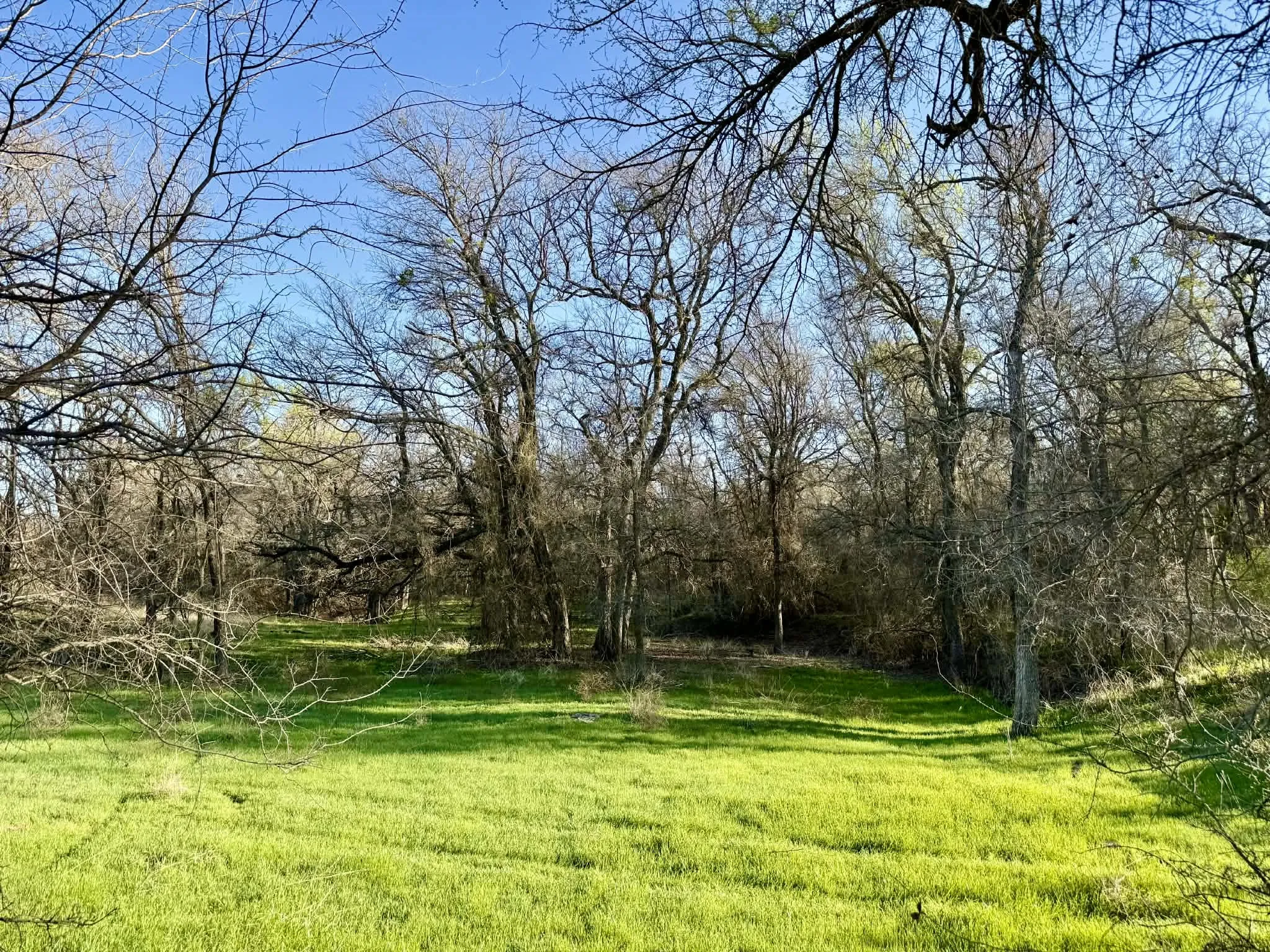 Ranch For Sale in Comanche County , TBD 20.02 acres CR 328, Dublin, Texas 76446, 0, 0, Garage spaces, 0 Sqft, built in 0, Price $195,000, mls#21212141, Real Estate Agent in Dublin, Homes For Sale in Comanche county, Homes For Sale in Dublin, Realtor in Dublin Texas, Real Estate Brokerage Independent Realty Texas, Luminita Cordes Realtor