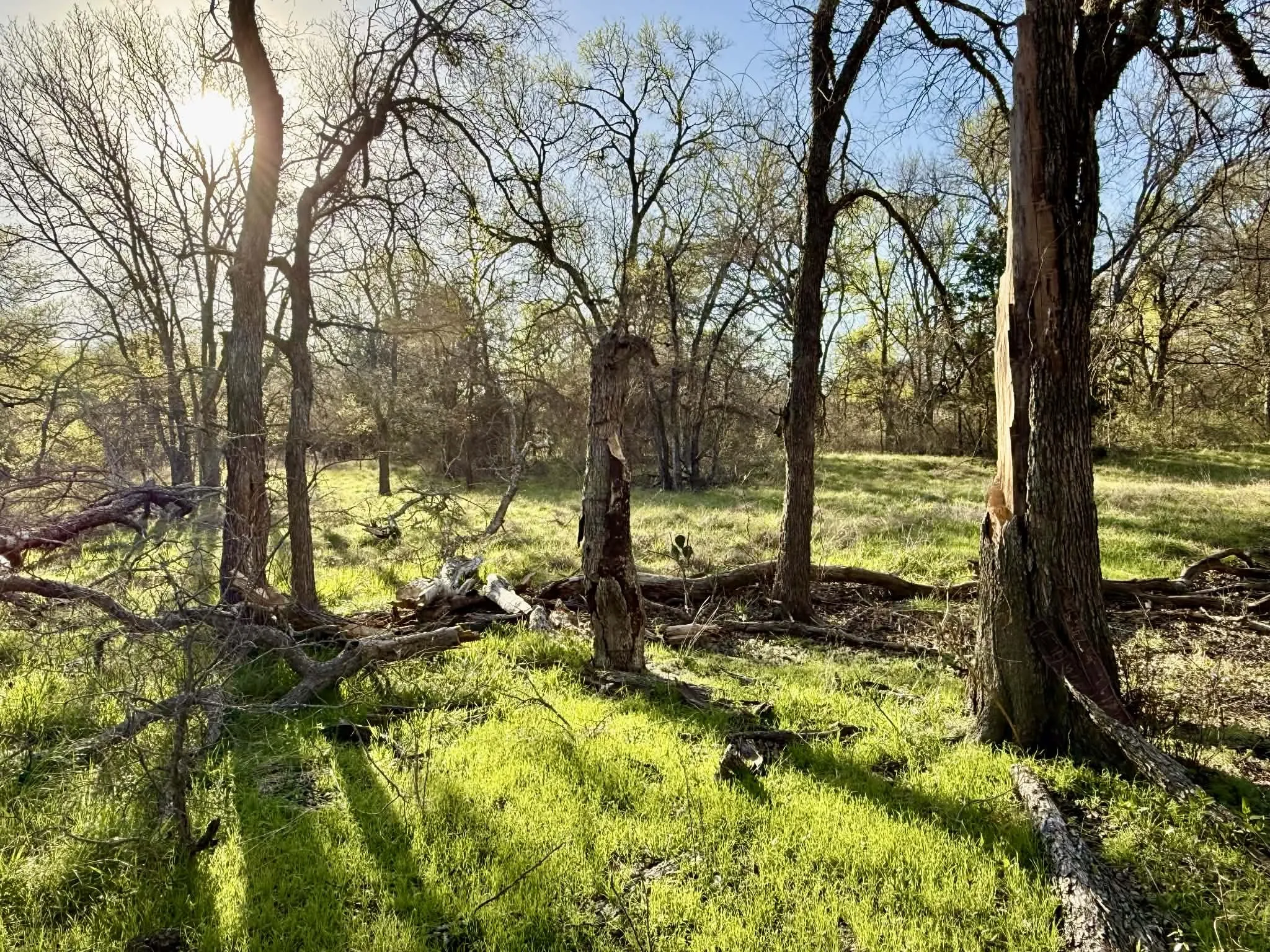 Ranch For Sale in Comanche County , TBD 20.02 acres CR 328, Dublin, Texas 76446, 0, 0, Garage spaces, 0 Sqft, built in 0, Price $195,000, mls#21212141, Real Estate Agent in Dublin, Homes For Sale in Comanche county, Homes For Sale in Dublin, Realtor in Dublin Texas, Real Estate Brokerage Independent Realty Texas, Luminita Cordes Realtor
