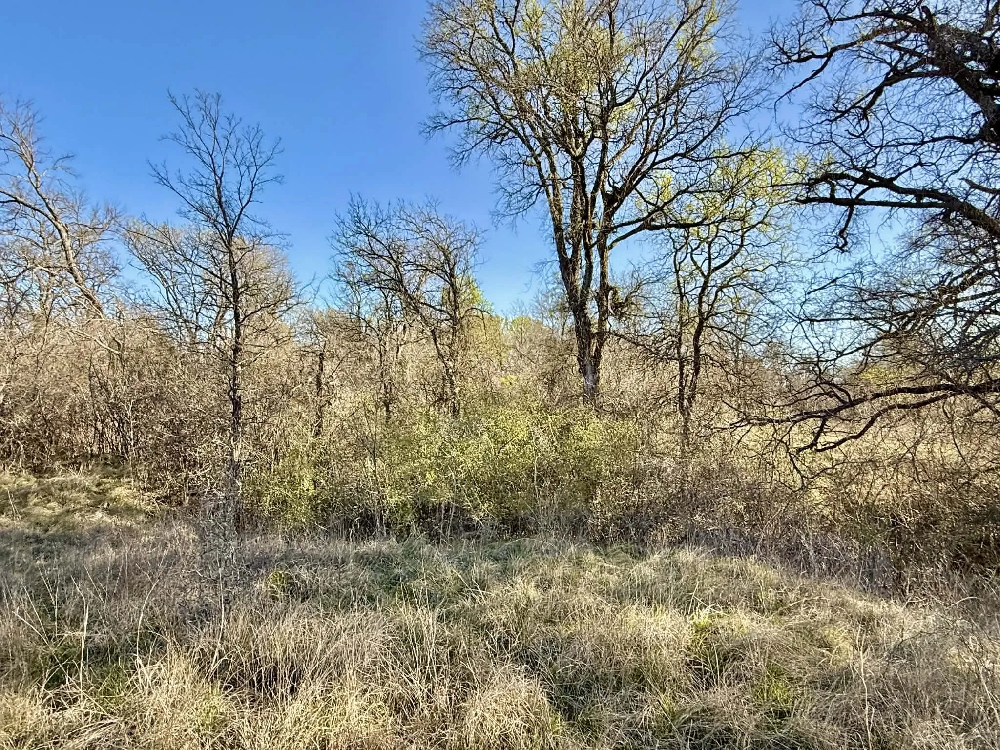 Ranch For Sale in Comanche County , TBD 20.02 acres CR 328, Dublin, Texas 76446, 0, 0, Garage spaces, 0 Sqft, built in 0, Price $195,000, mls#21212141, Real Estate Agent in Dublin, Homes For Sale in Comanche county, Homes For Sale in Dublin, Realtor in Dublin Texas, Real Estate Brokerage Independent Realty Texas, Luminita Cordes Realtor