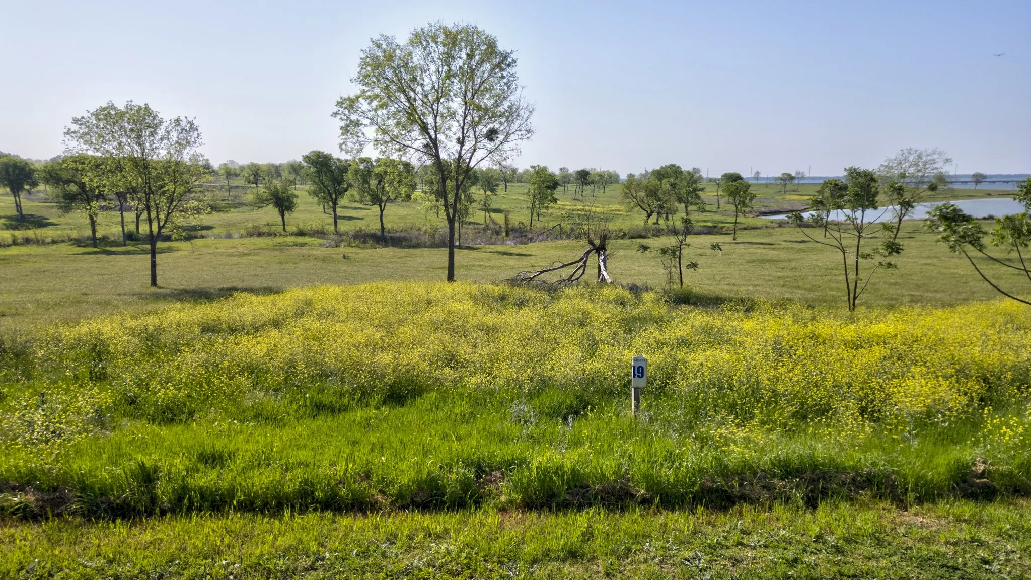 Unimproved Land For Sale in Navarro County , Lot 49 Chambers Bay, Corsicana, Texas 75109, 0, 0, Garage spaces, 0 Sqft, built in 0, mls#21209706, Real Estate Agent in Corsicana, Homes For Sale in Navarro county, Homes For Sale in Corsicana, Realtor in Corsicana Texas, Real Estate Brokerage Independent Realty Texas, Luminita Cordes Realtor