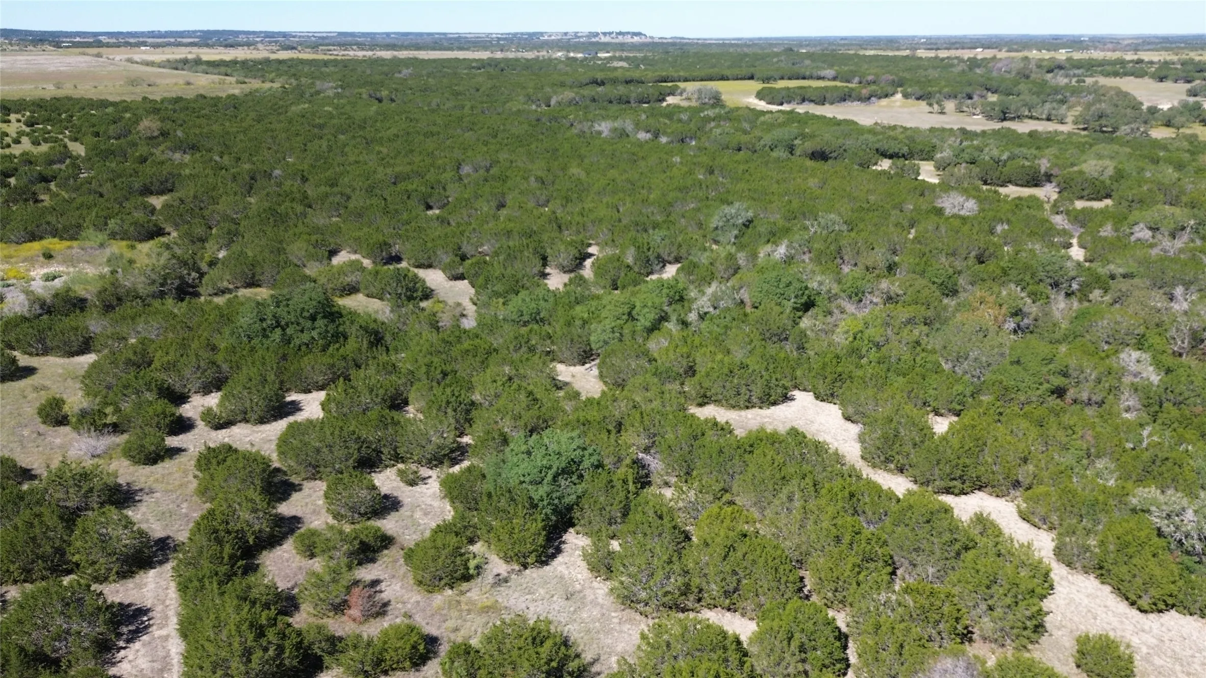 Unimproved Land For Sale in Coryell County , TBD CR 139, Gatesville, Texas 76528, 0, 0, Garage spaces, 0 Sqft, built in 0, Price $1,747,200, mls#21212478, Real Estate Agent in Gatesville, Homes For Sale in Coryell county, Homes For Sale in Gatesville, Realtor in Gatesville Texas, Real Estate Brokerage Independent Realty Texas, Luminita Cordes Realtor