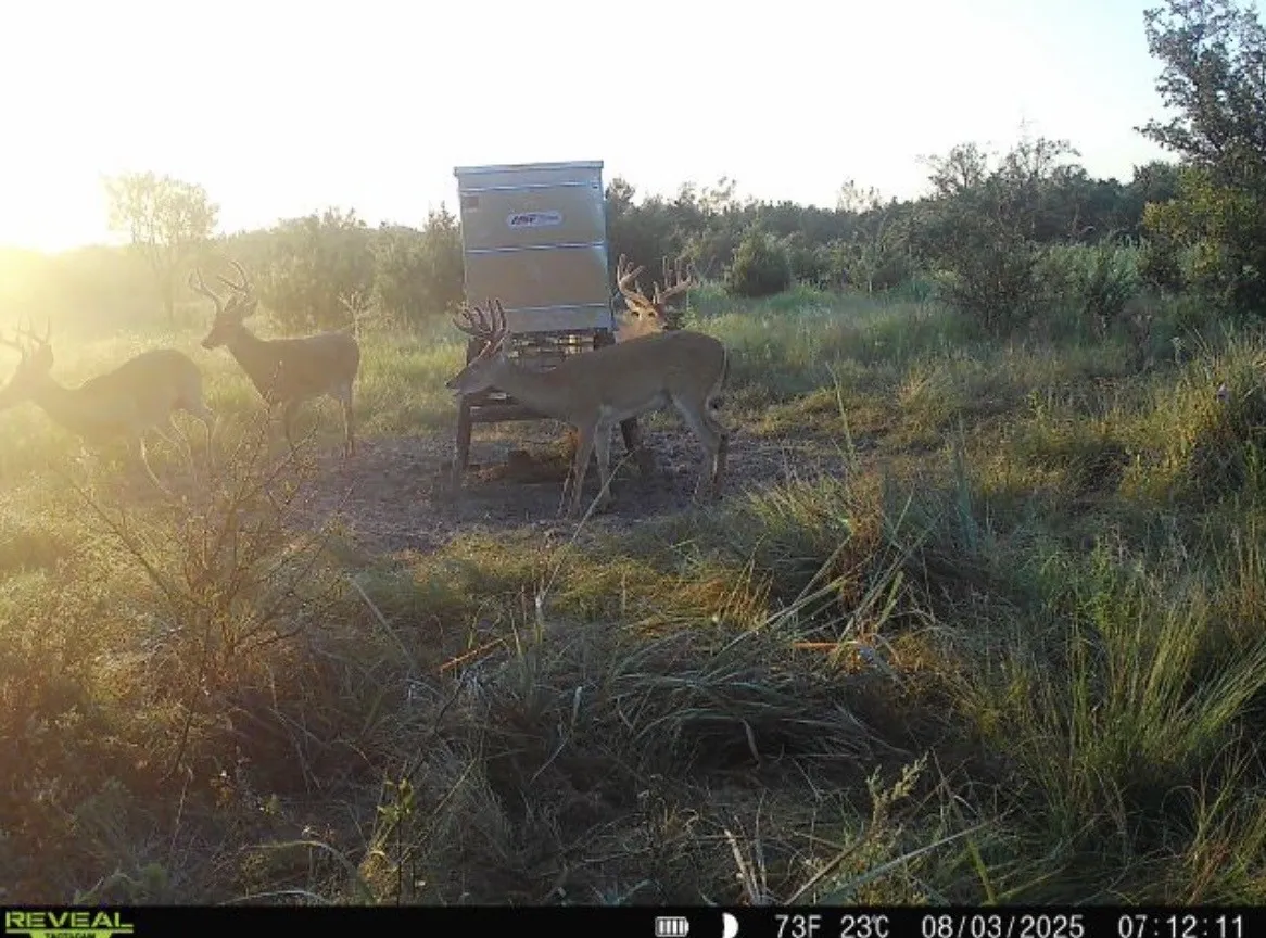 Unimproved Land For Sale in Coryell County , TBD CR 139, Gatesville, Texas 76528, 0, 0, Garage spaces, 0 Sqft, built in 0, Price $1,747,200, mls#21212478, Real Estate Agent in Gatesville, Homes For Sale in Coryell county, Homes For Sale in Gatesville, Realtor in Gatesville Texas, Real Estate Brokerage Independent Realty Texas, Luminita Cordes Realtor
