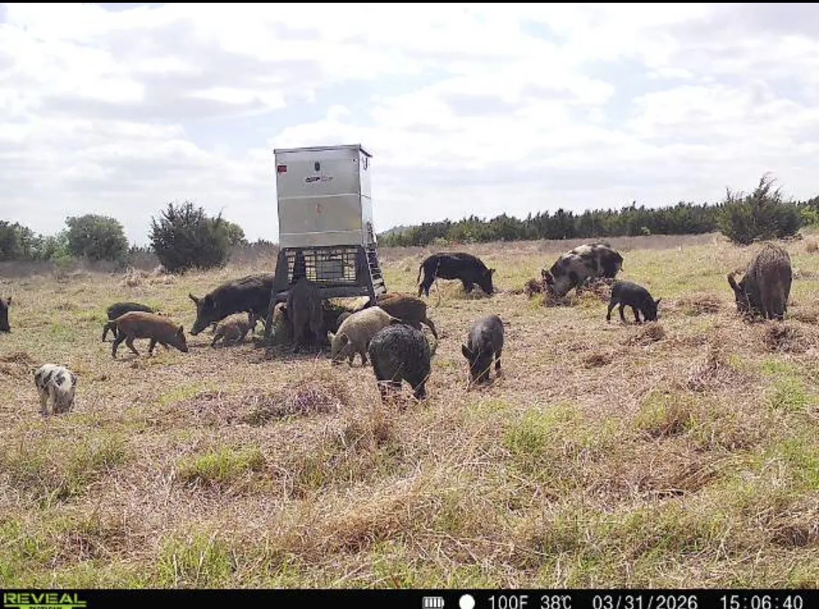 Unimproved Land For Sale in Coryell County , TBD CR 139, Gatesville, Texas 76528, 0, 0, Garage spaces, 0 Sqft, built in 0, Price $1,747,200, mls#21212478, Real Estate Agent in Gatesville, Homes For Sale in Coryell county, Homes For Sale in Gatesville, Realtor in Gatesville Texas, Real Estate Brokerage Independent Realty Texas, Luminita Cordes Realtor