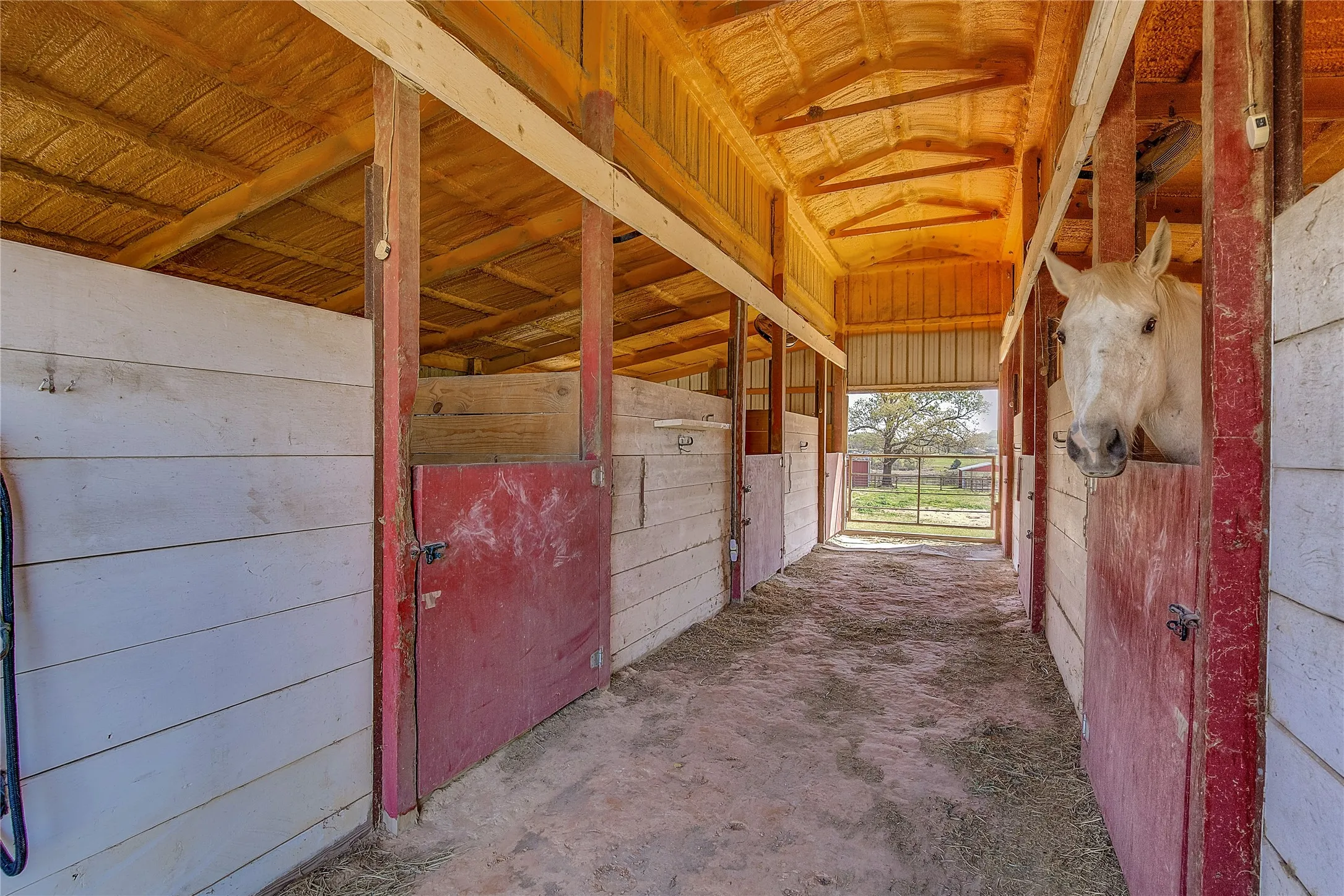 This stable has four large stalls