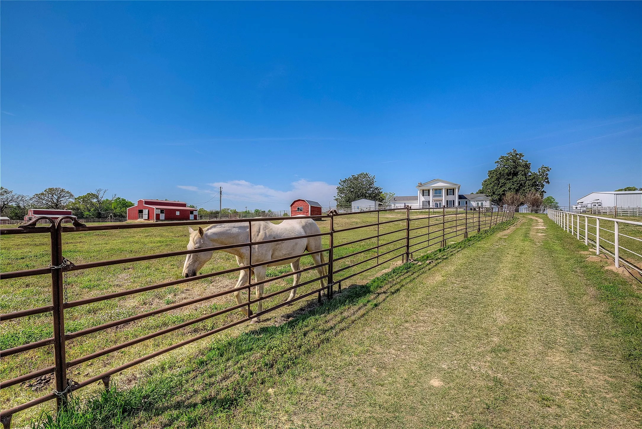 20 acres of Coastal Bermuda pasture, fenced for horses with multiple pastures and corrals.